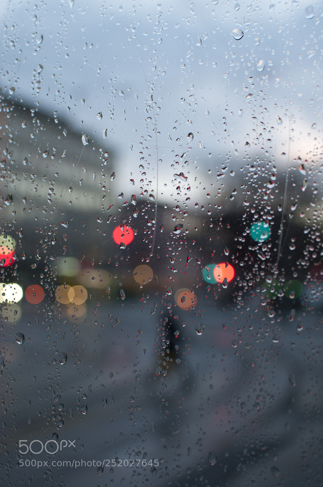 Nikon D5000 sample photo. Rainy day photography