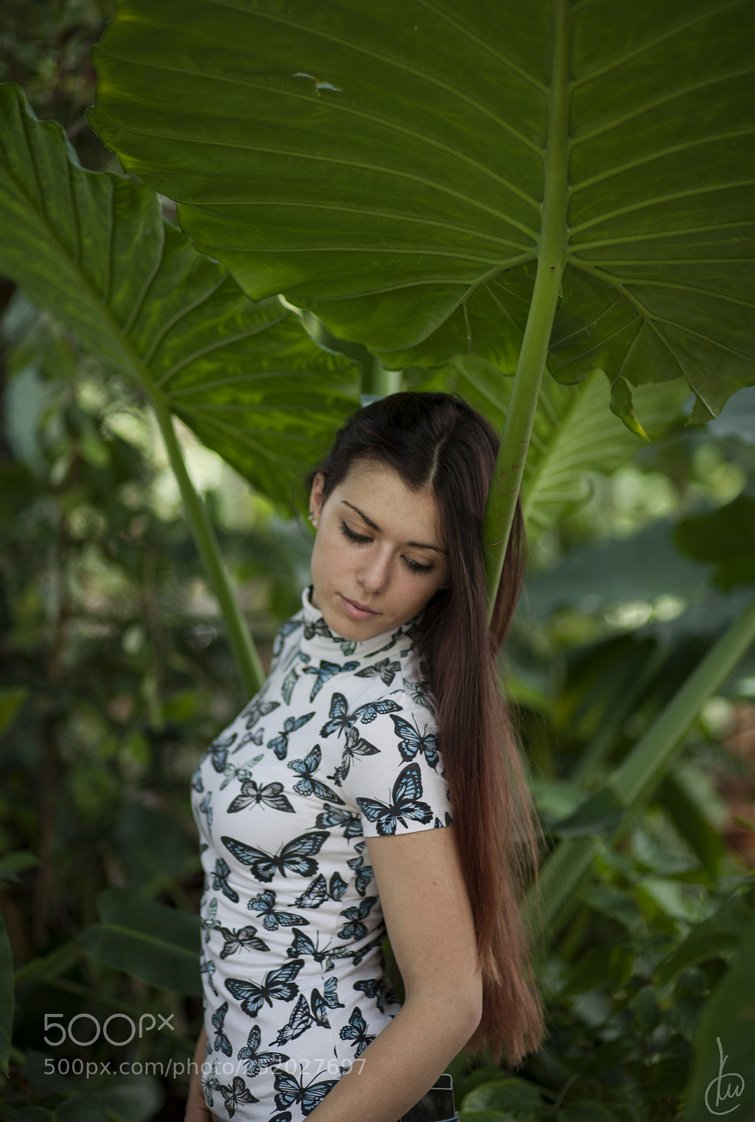 Canon EOS 5D sample photo. Anj photography