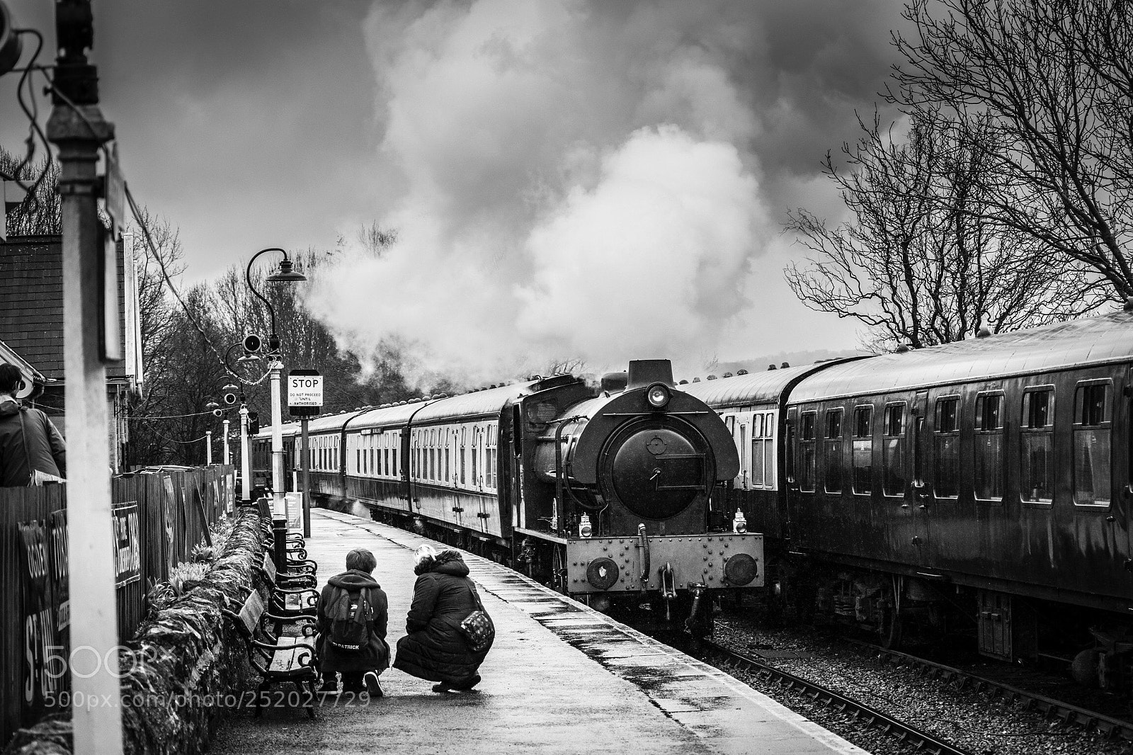 Nikon D3300 sample photo. Avon valley railway photography