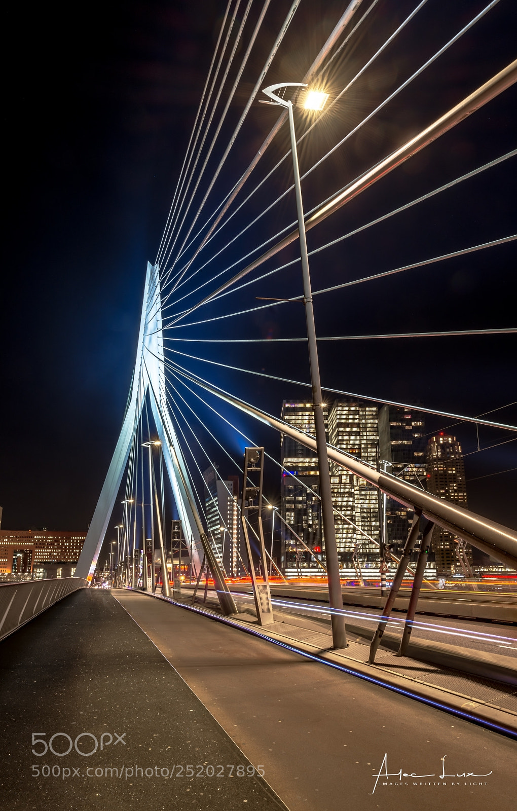 Nikon D800 sample photo. Glowing erasmus bridge i photography