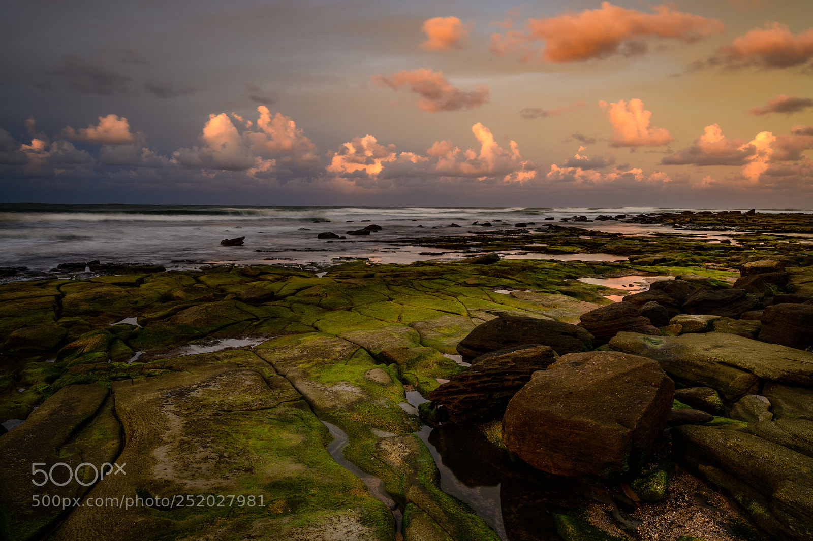 Nikon D850 sample photo. Moffat beach - the photography