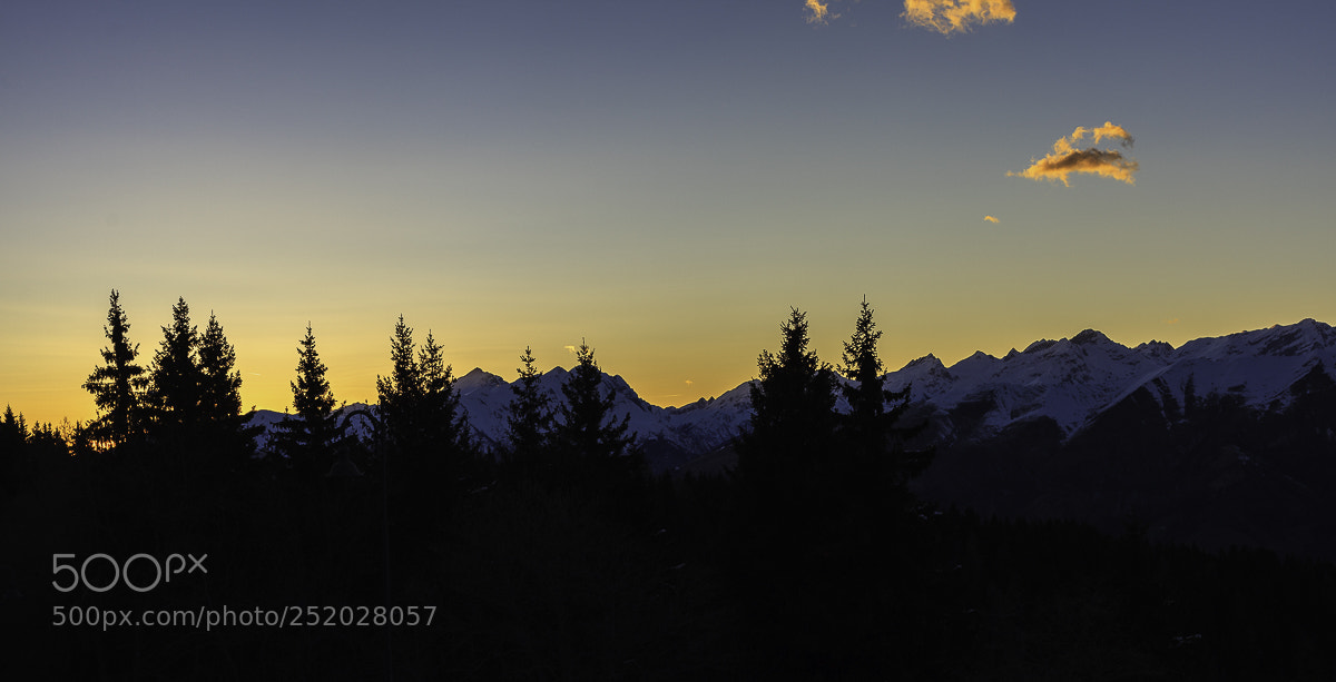 Canon EOS 5D Mark II sample photo. Silhouette photography