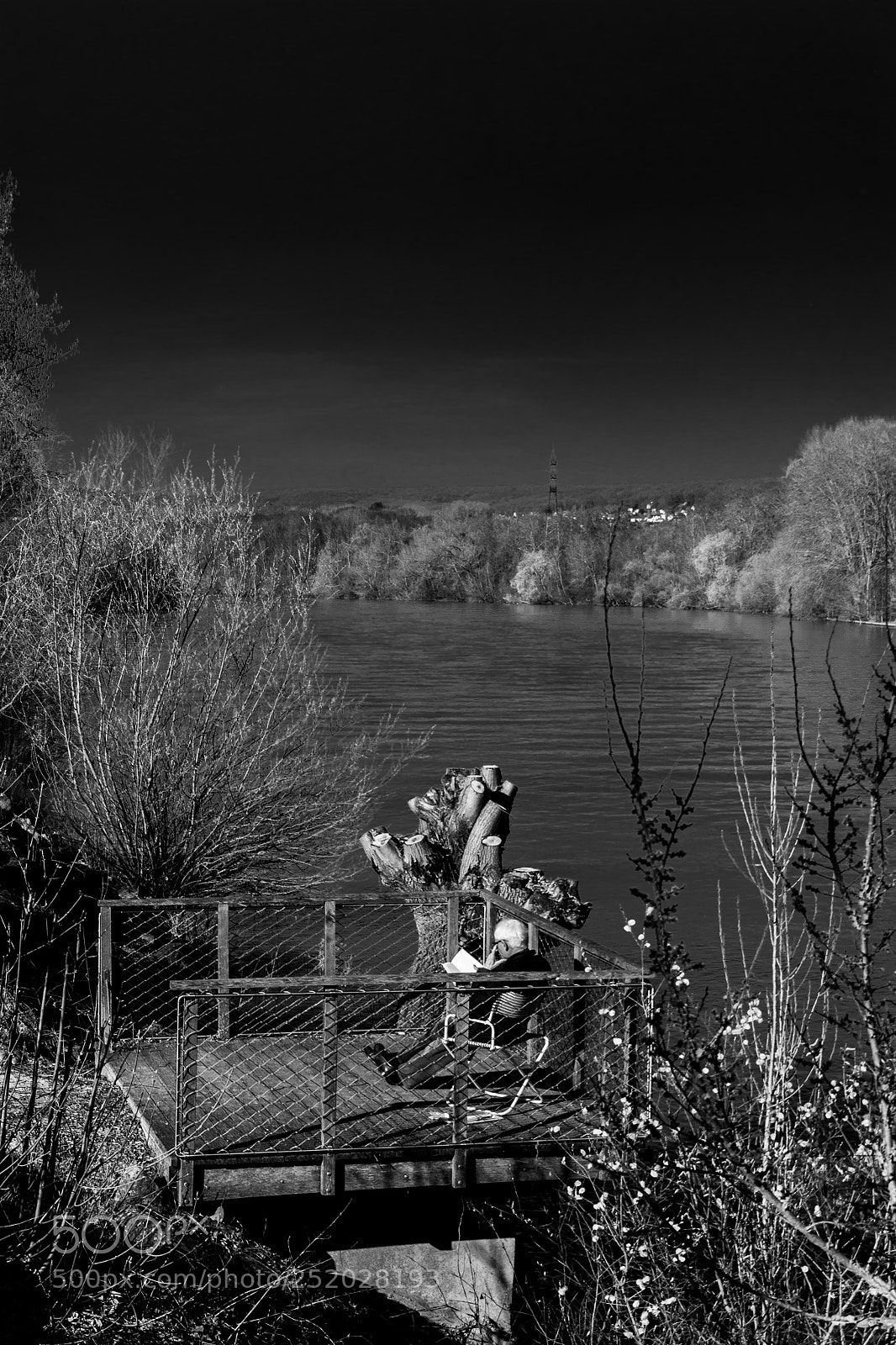 Nikon D3100 sample photo. Reading photography