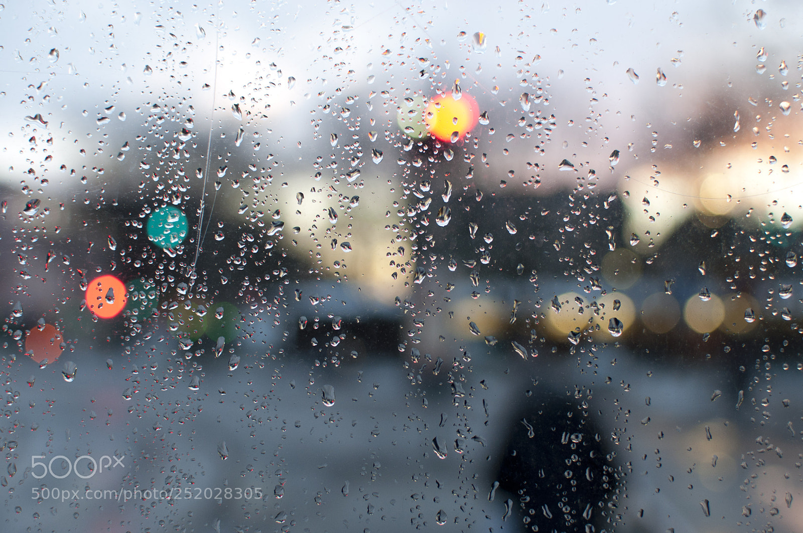 Nikon D5000 sample photo. Rain photography