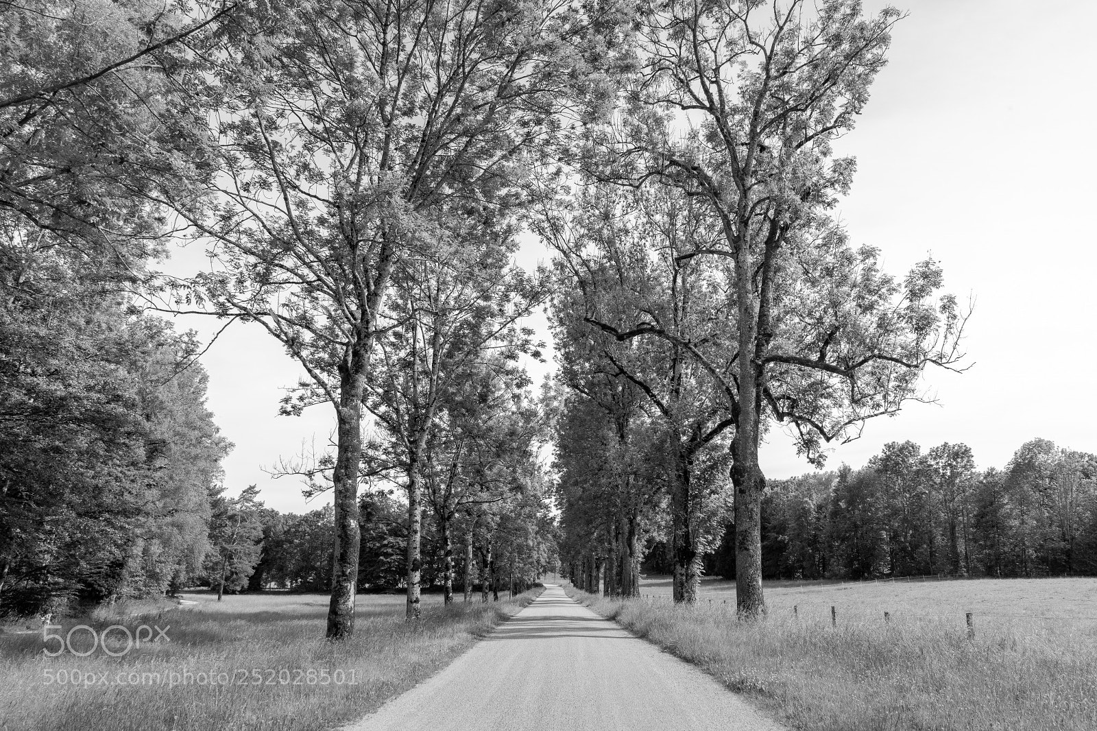 Sony a7 II sample photo. Chiemsee impressions photography