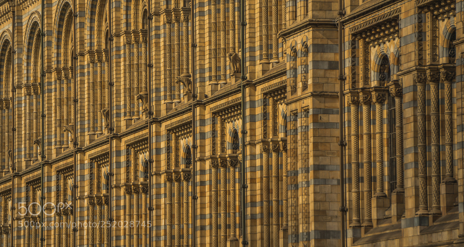 Sony a5100 sample photo. Natural history museum photography