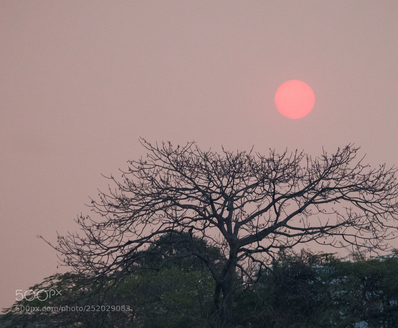 Canon EOS 70D sample photo. Place where meets the photography