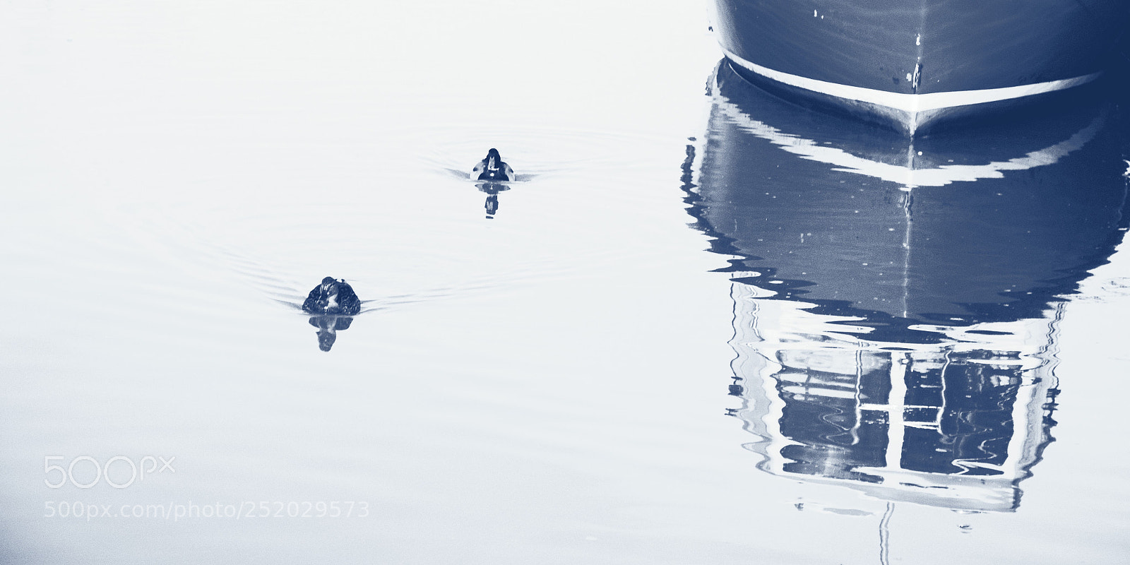Nikon D7000 sample photo. Reflected ducks and boat photography