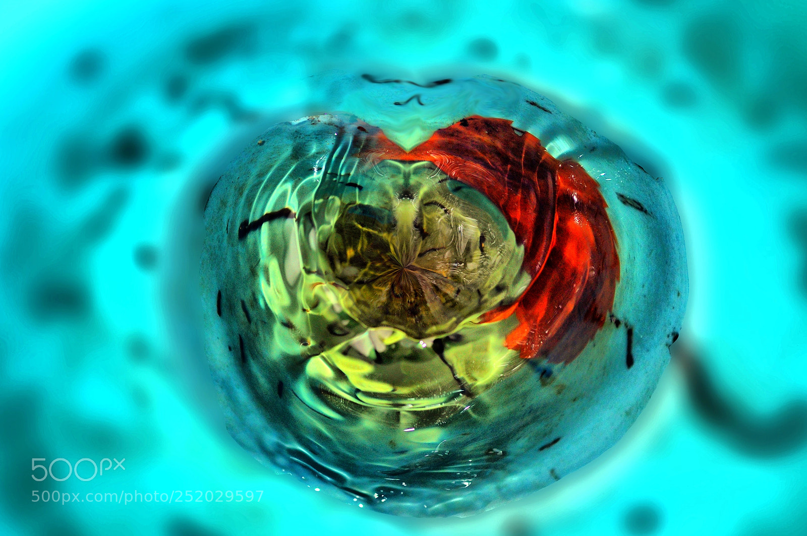 Nikon D90 sample photo. Untitled photography