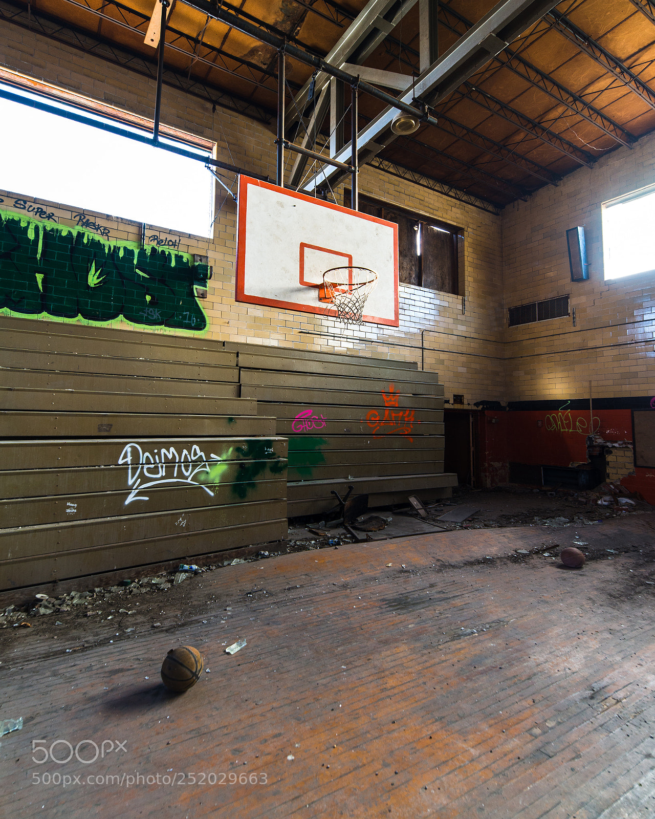 Nikon D610 sample photo. 3 pointer photography