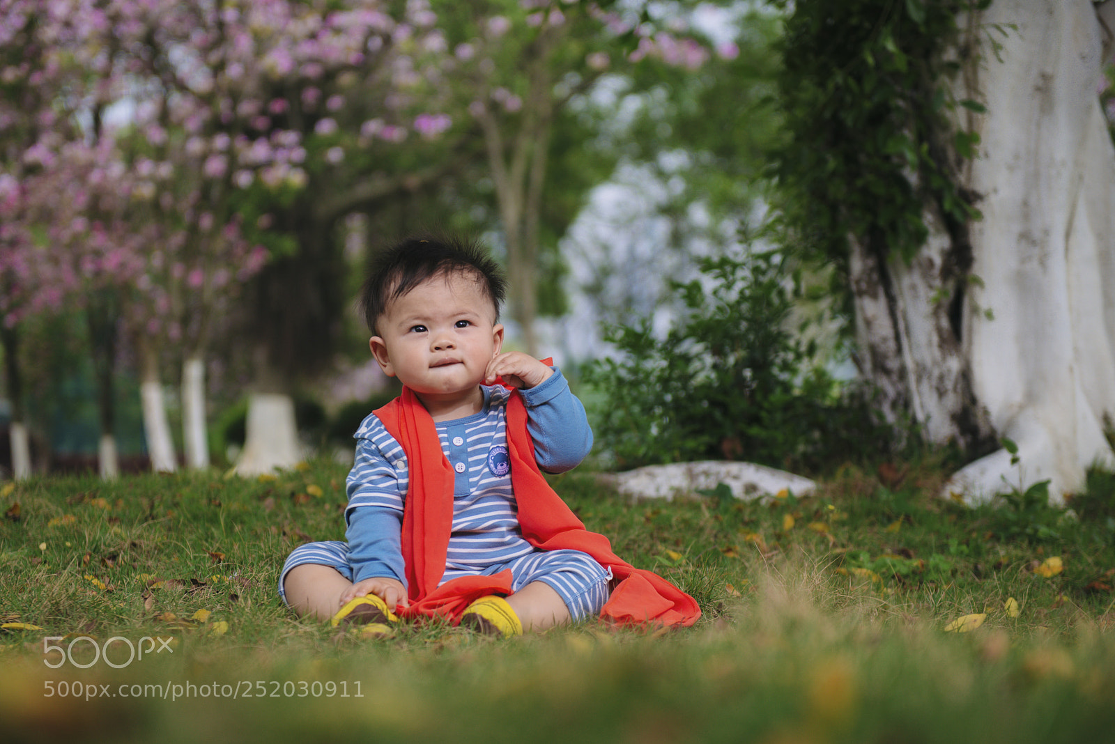 Nikon D800 sample photo. Zhi photography