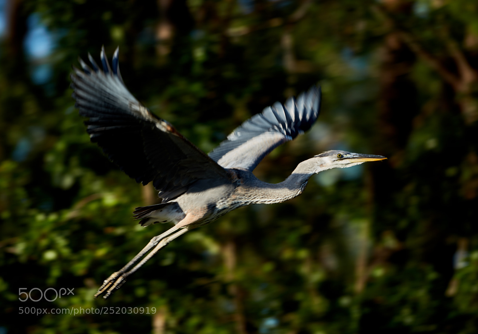 Canon EOS 5DS R sample photo. 04-03-18-0010408.jpg photography