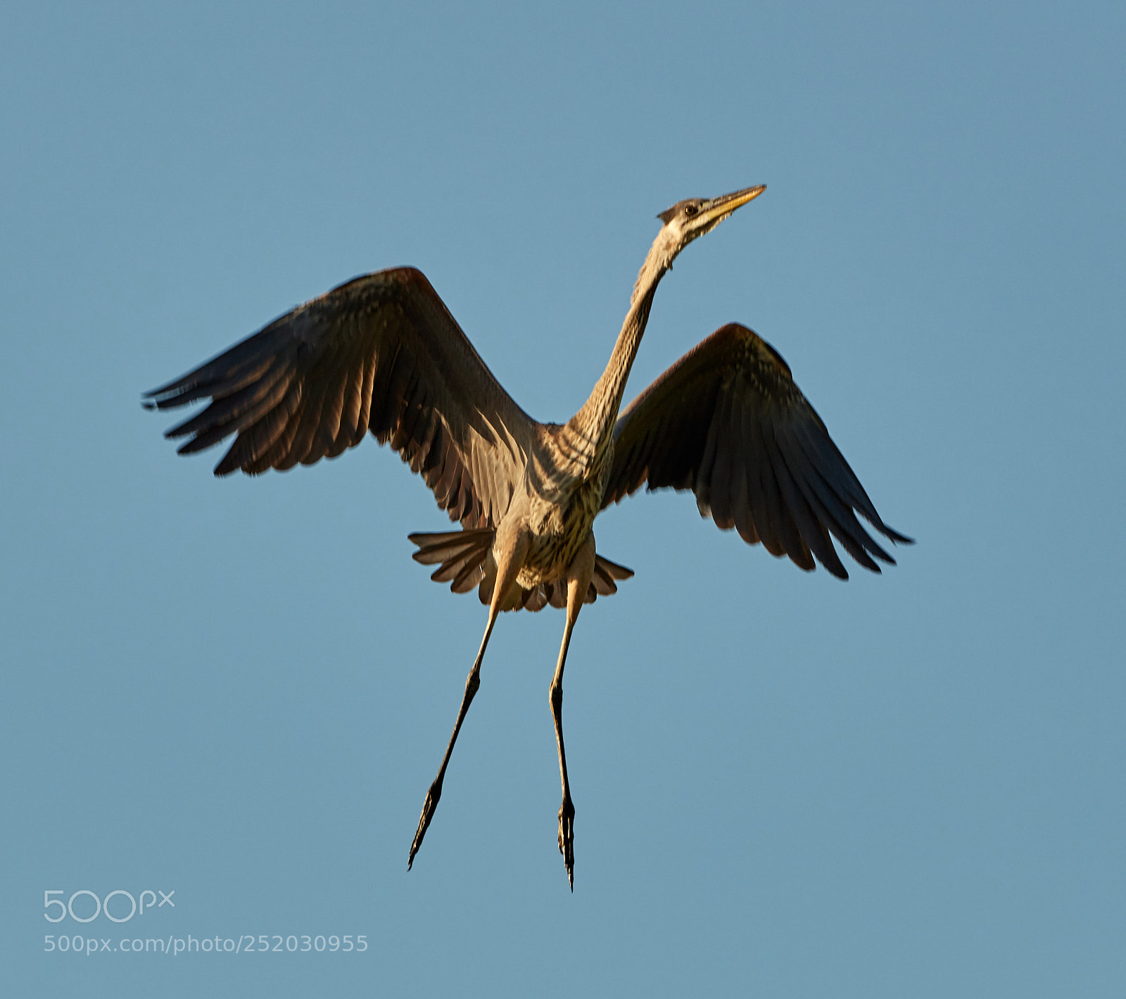 Canon EOS 5DS R sample photo. 04-03-18-0010396.jpg photography