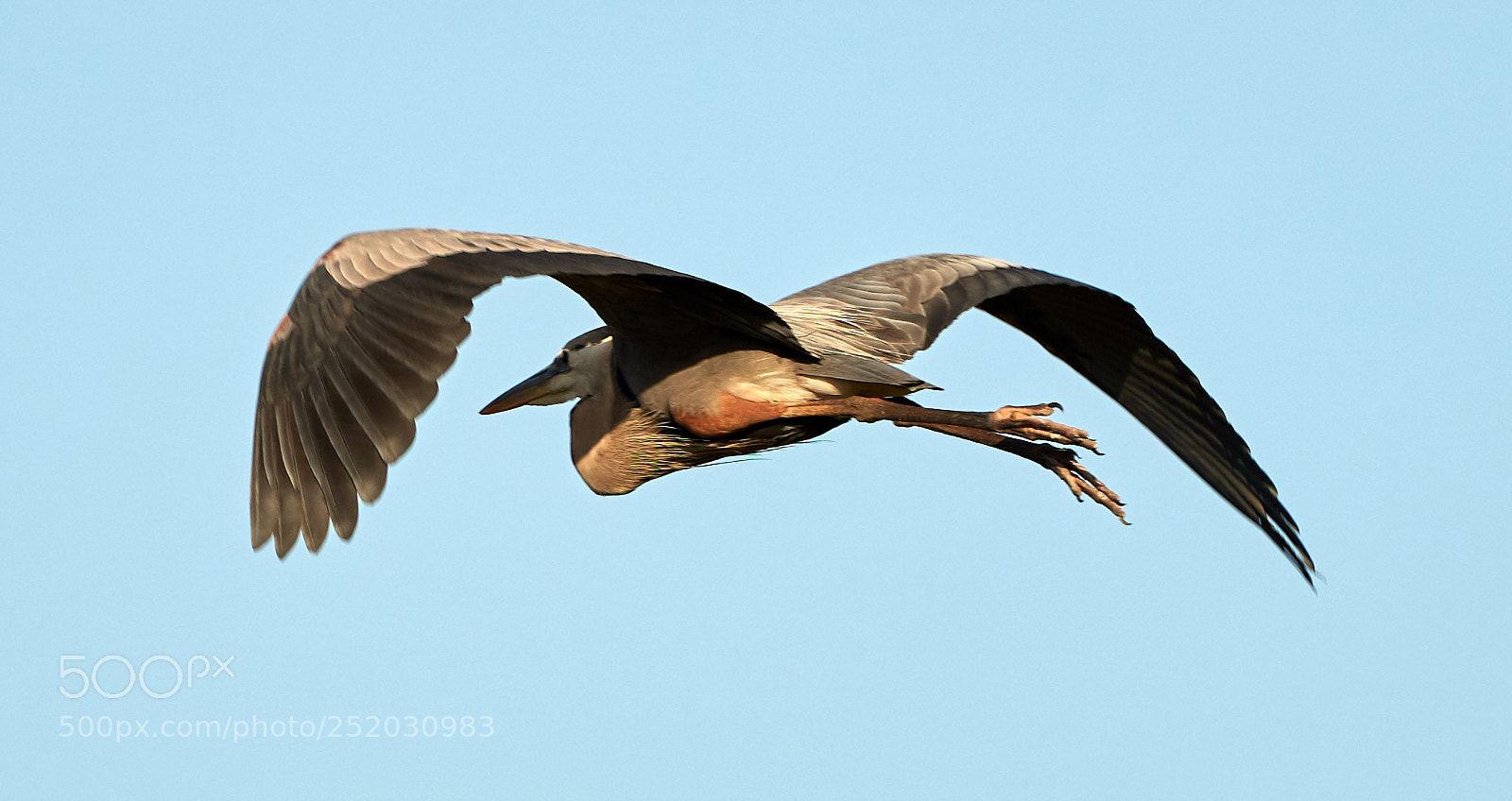 Canon EOS 5DS R sample photo. 04-03-18-0010389.jpg photography