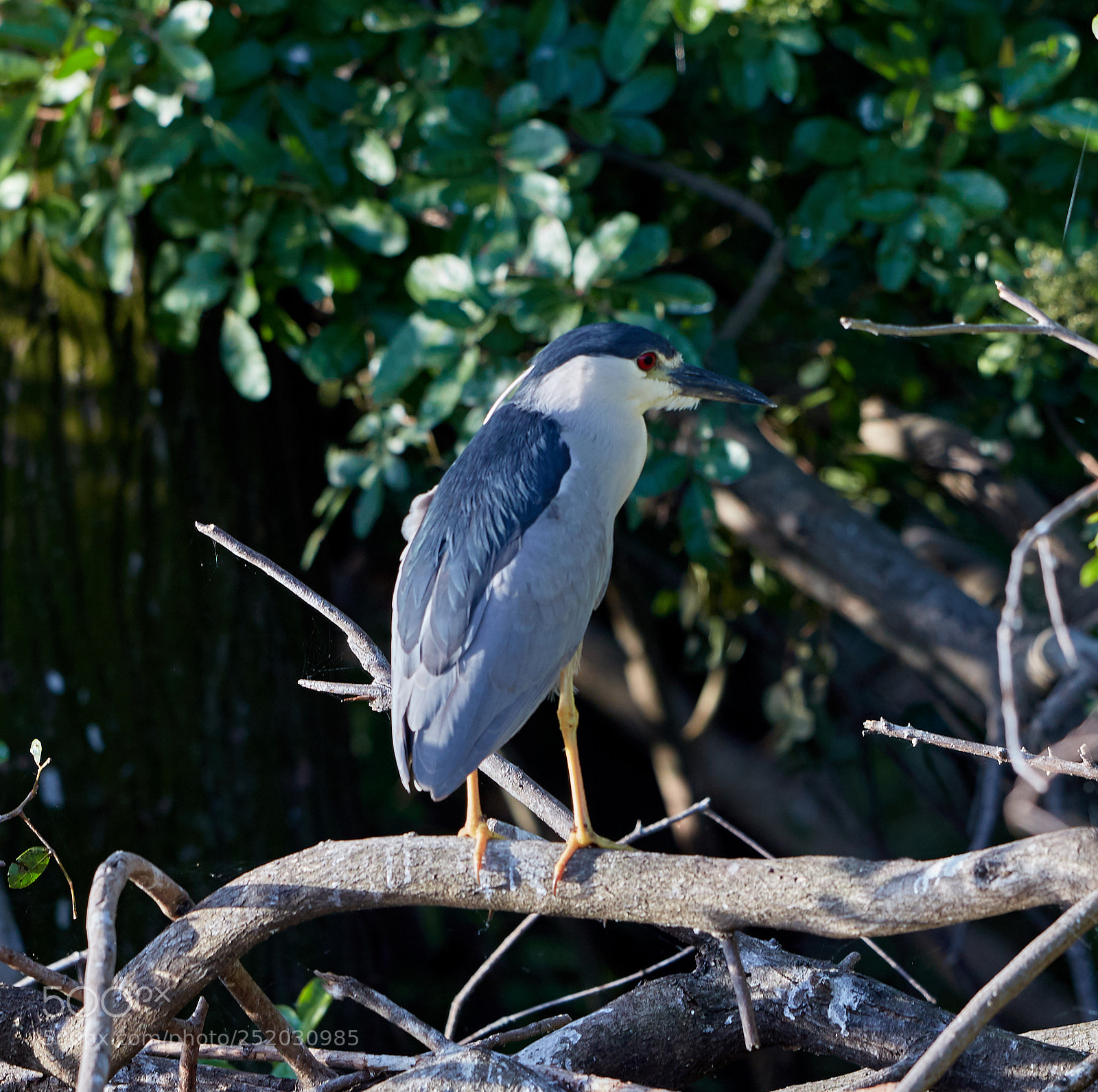 Canon EOS 5DS R sample photo. 04-03-18-0010368.jpg photography