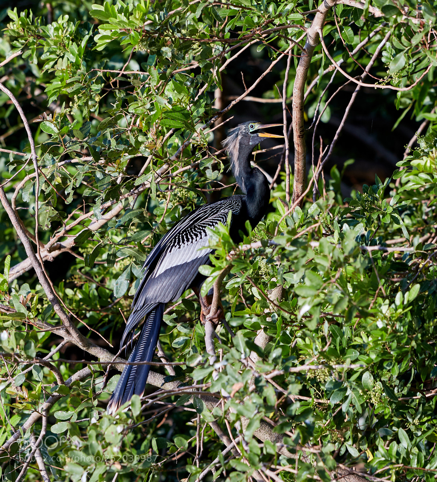 Canon EOS 5DS R sample photo. 04-03-18-0010355.jpg photography