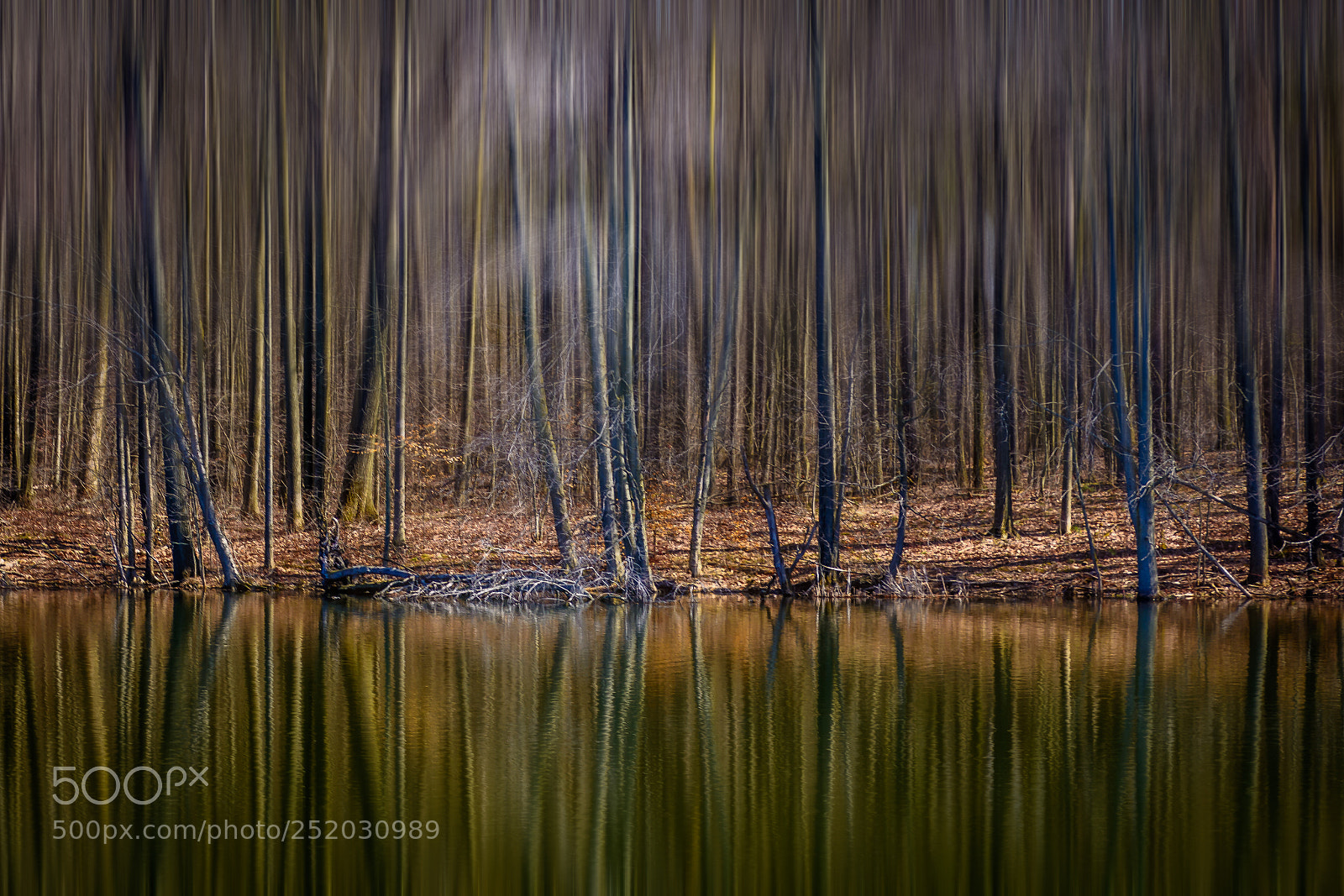 Nikon D7100 sample photo. Reflections photography