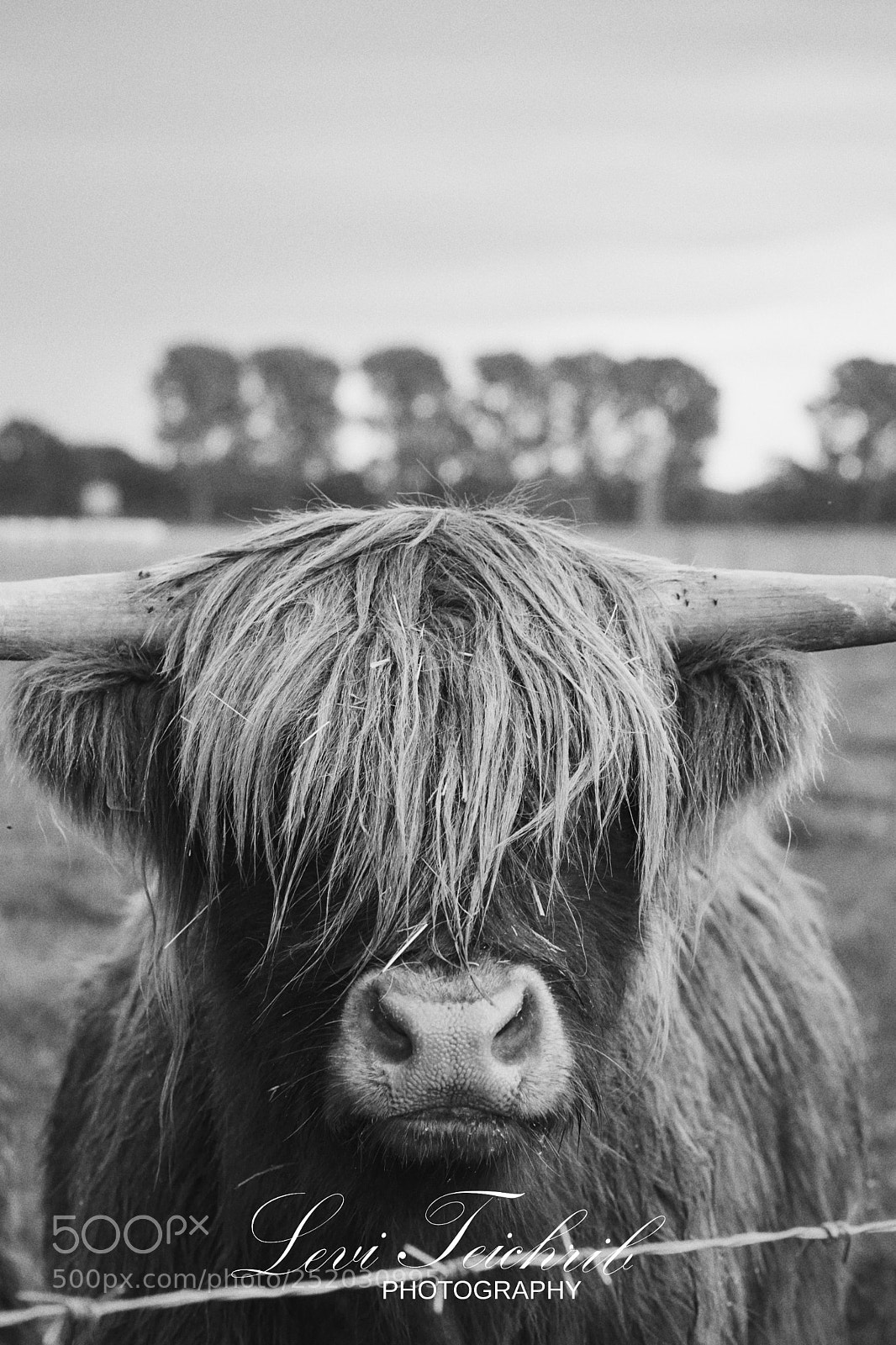 Sony a6000 sample photo. Country life ? photography
