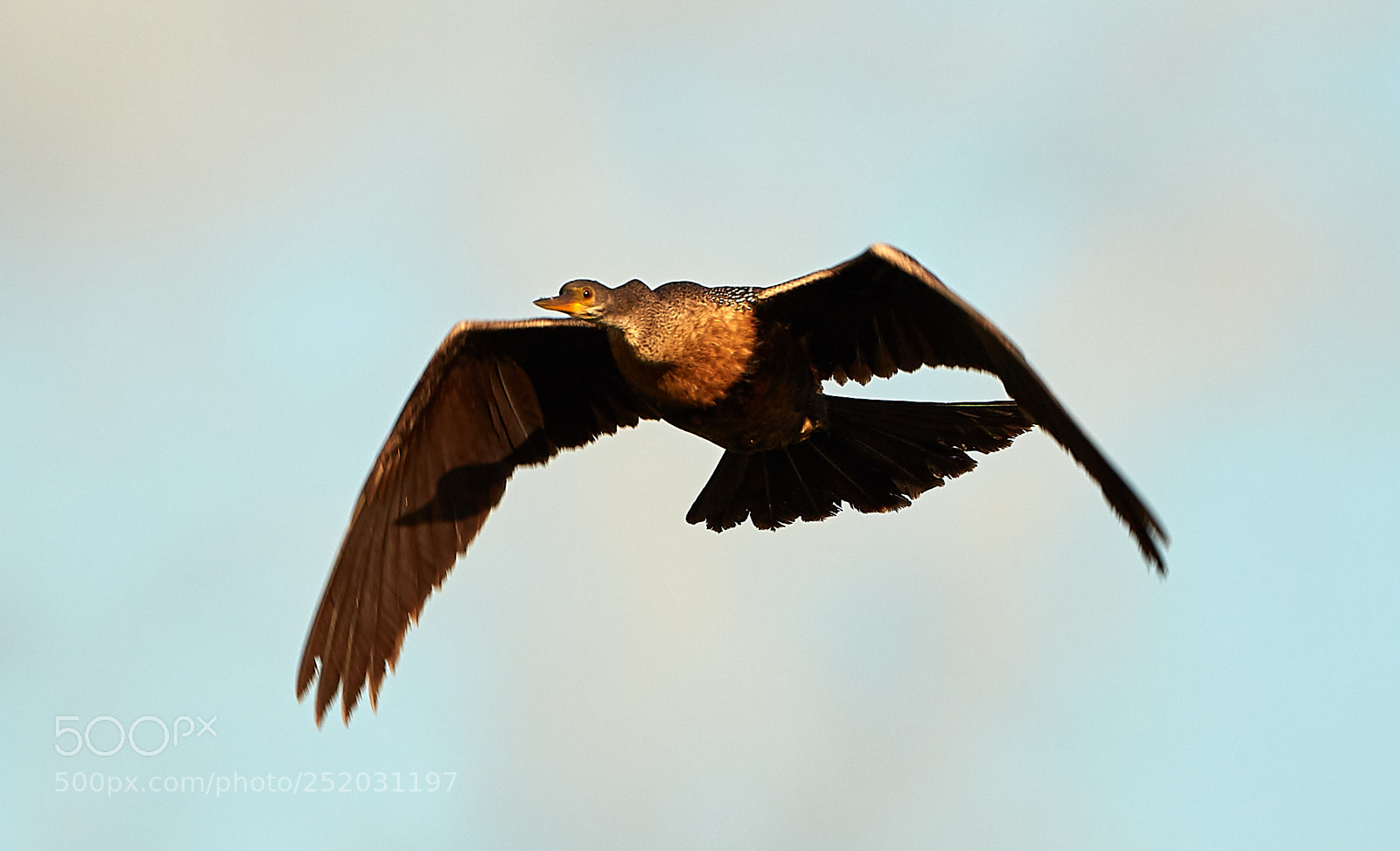 Canon EOS 5DS R sample photo. 04-03-18-0010341.jpg photography