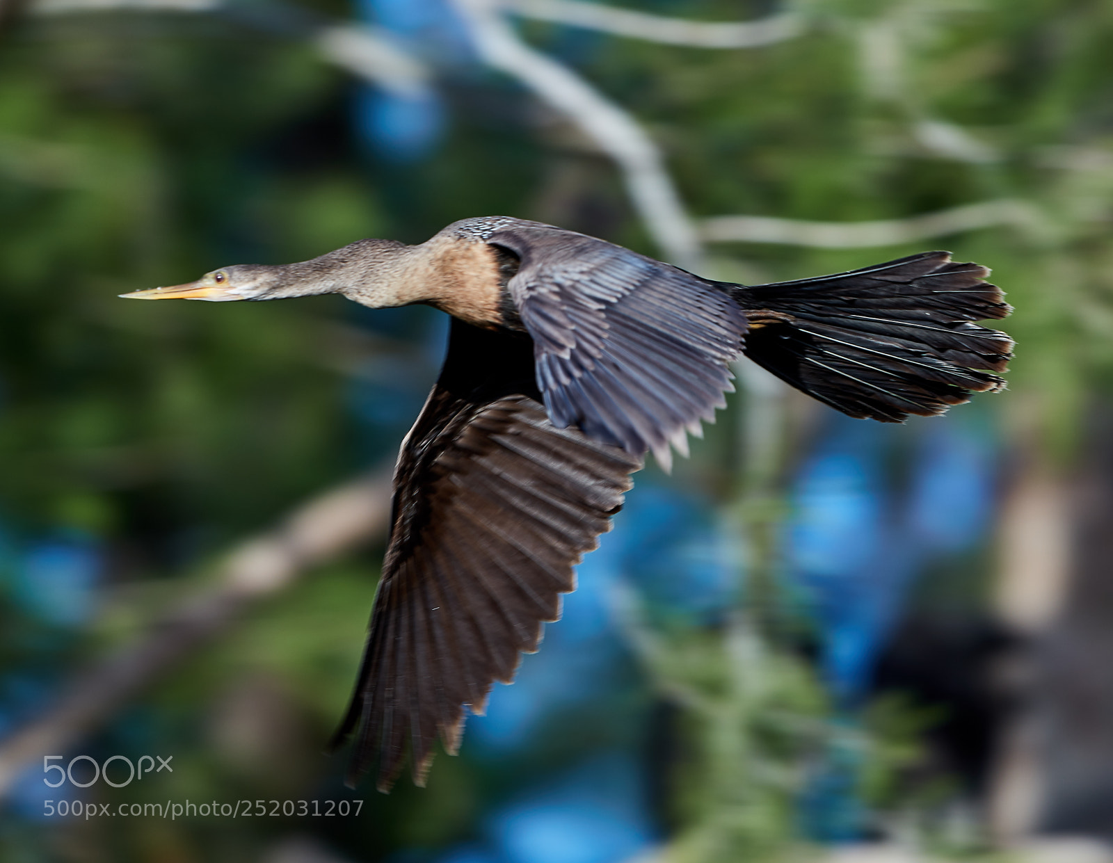 Canon EOS 5DS R sample photo. 04-03-18-0010339.jpg photography