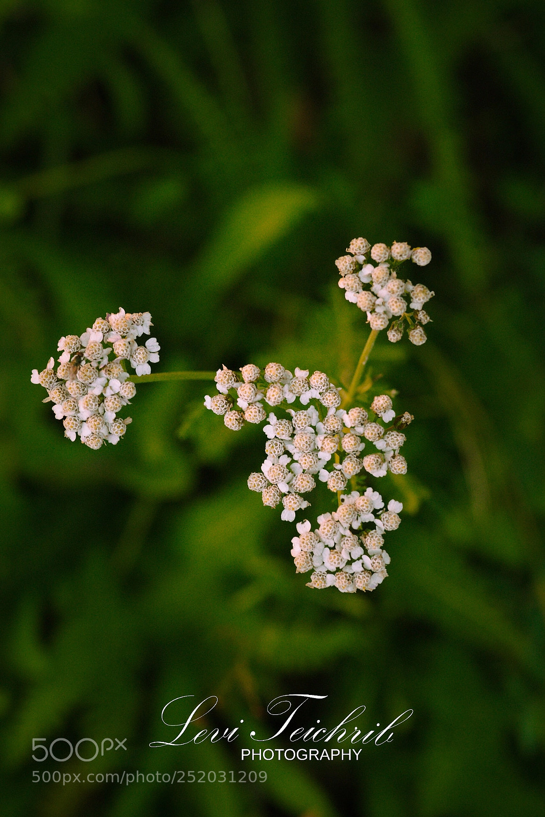 Sony a6000 sample photo. Nature photography