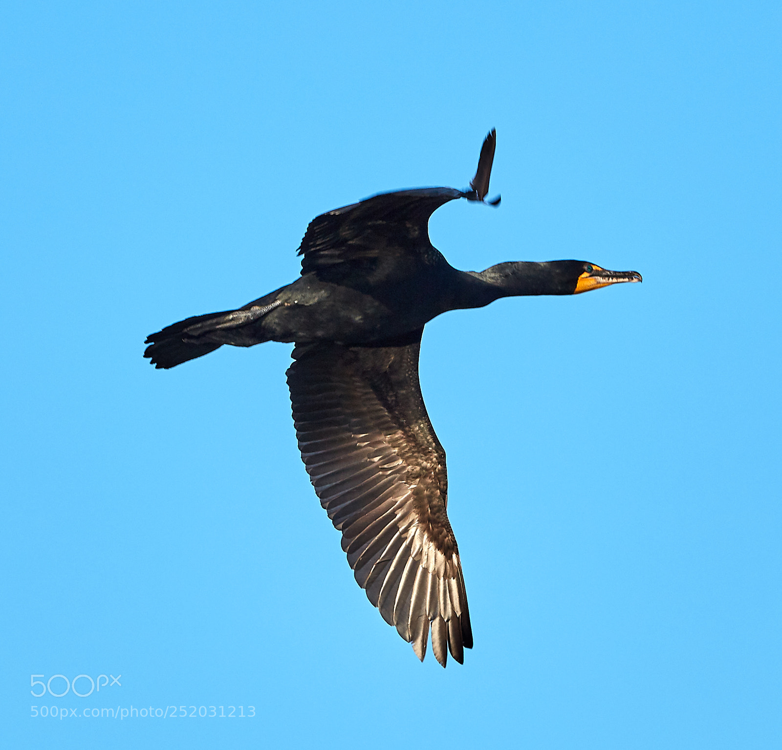 Canon EOS 5DS R sample photo. 04-03-18-0010329.jpg photography