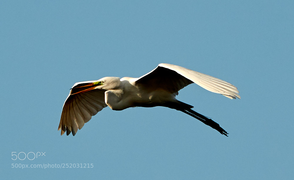 Canon EOS 5DS R sample photo. 04-03-18-0010327.jpg photography