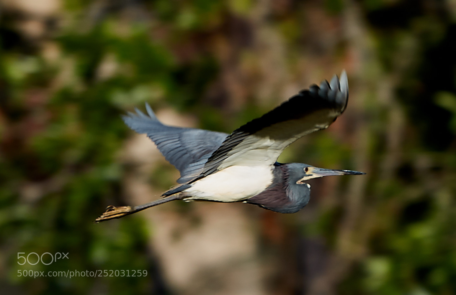 Canon EOS 5DS R sample photo. 04-03-18-0010319.jpg photography