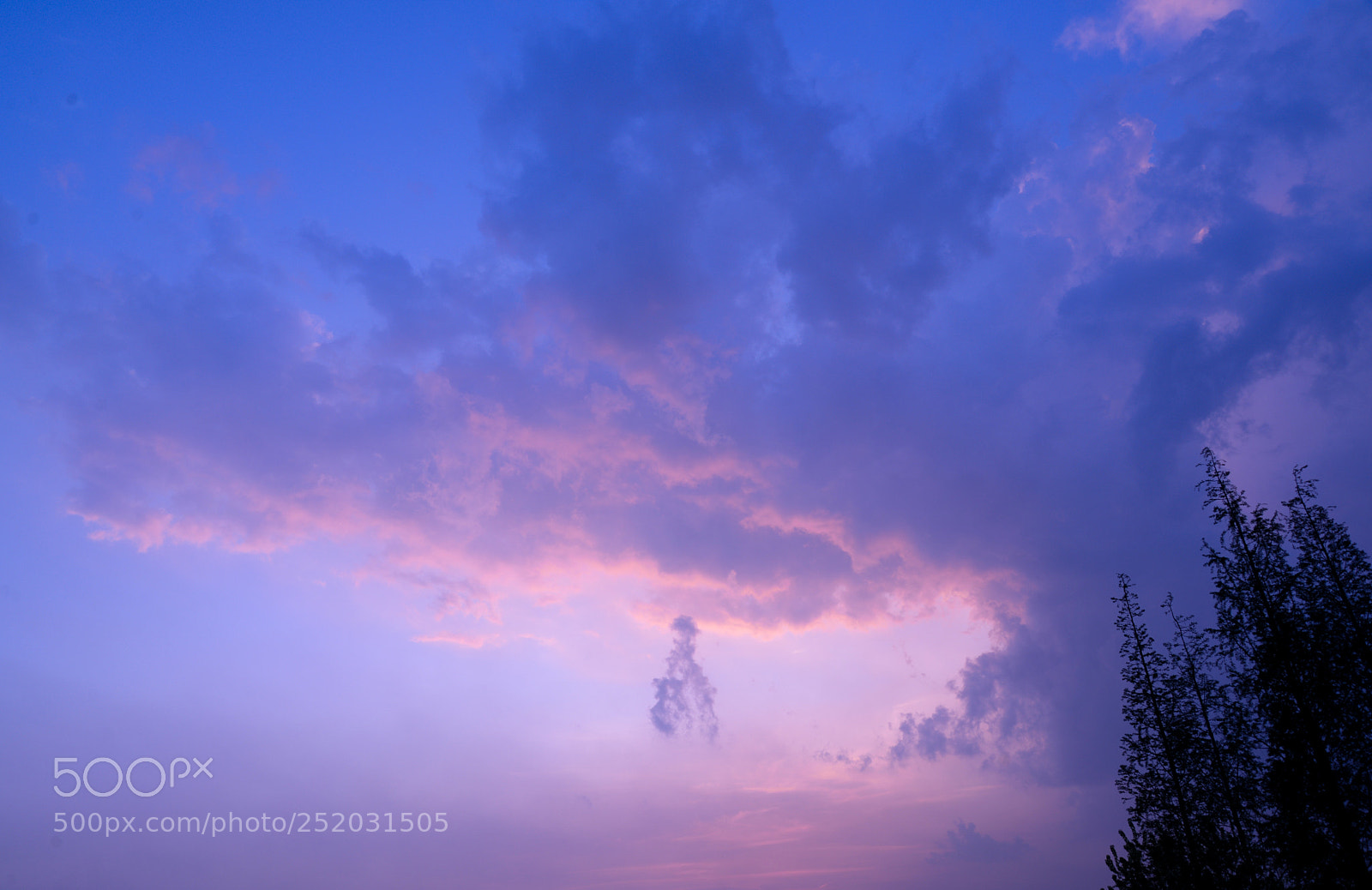 Nikon D610 sample photo. Untitled photography