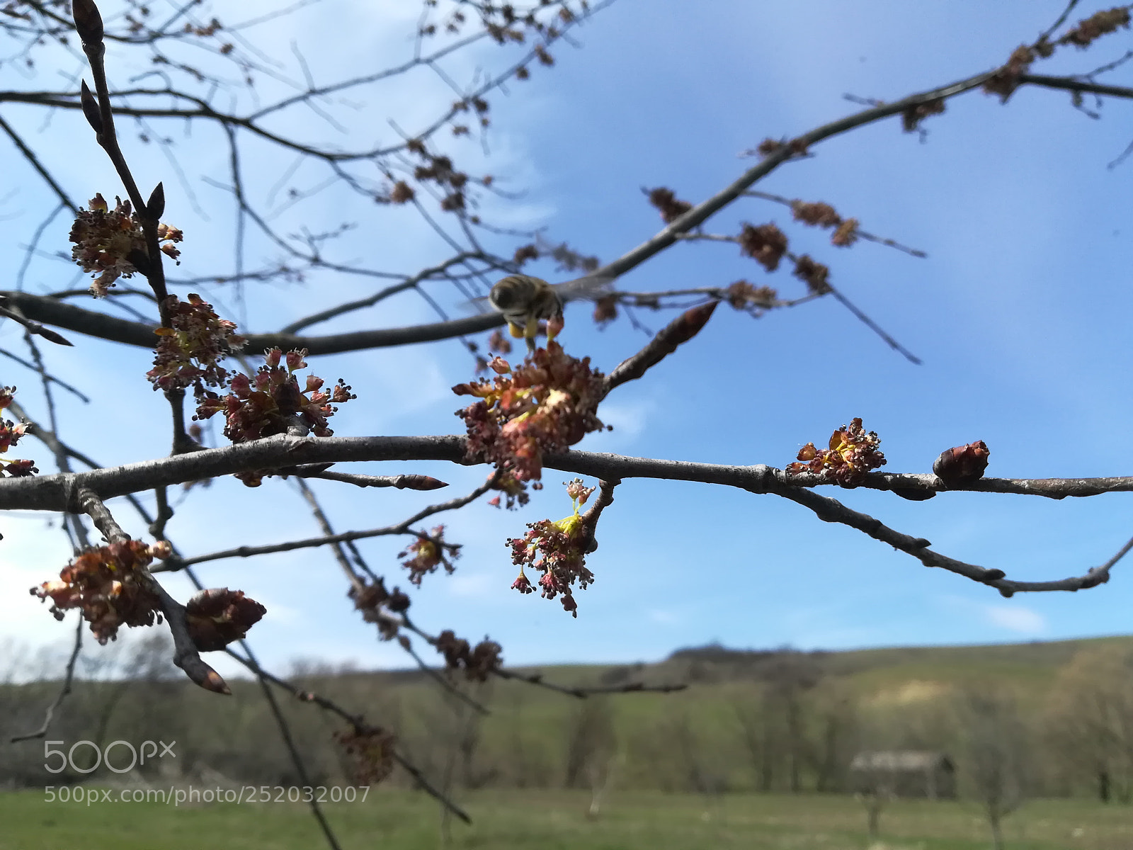 HUAWEI PRA-LX1 sample photo. Untitled photography