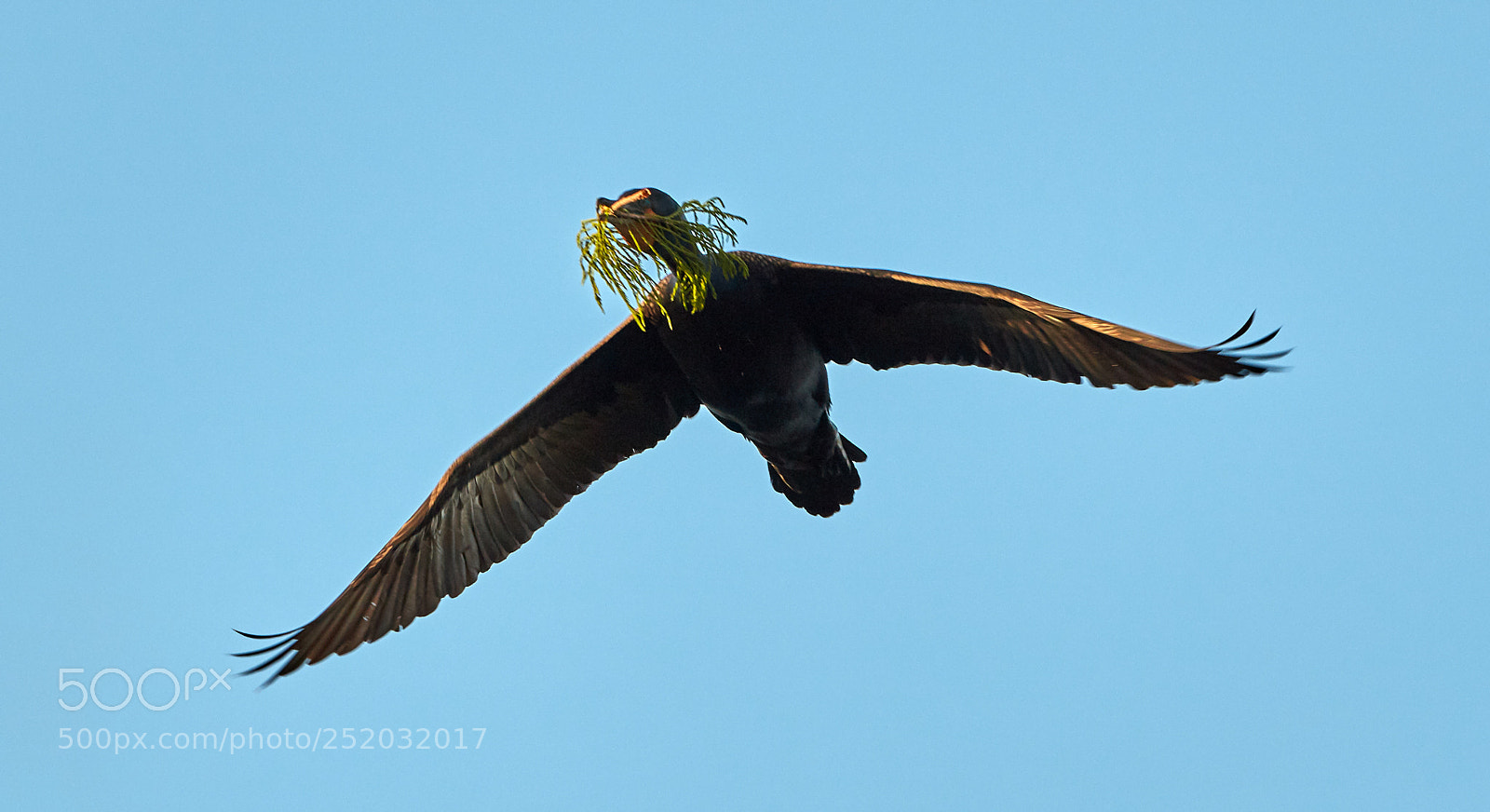 Canon EOS 5DS R sample photo. 04-03-18-0010499.jpg photography