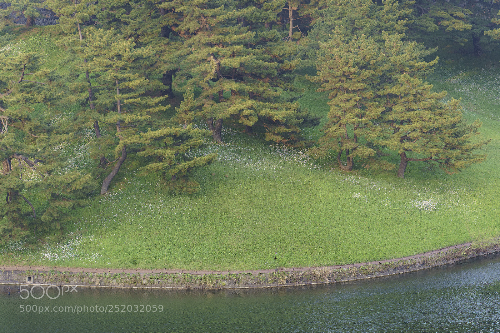 Sony a7 II sample photo. 美如畫 photography