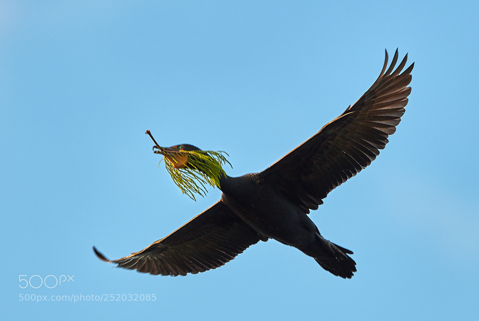 Canon EOS 5DS R sample photo. 04-03-18-0010497.jpg photography