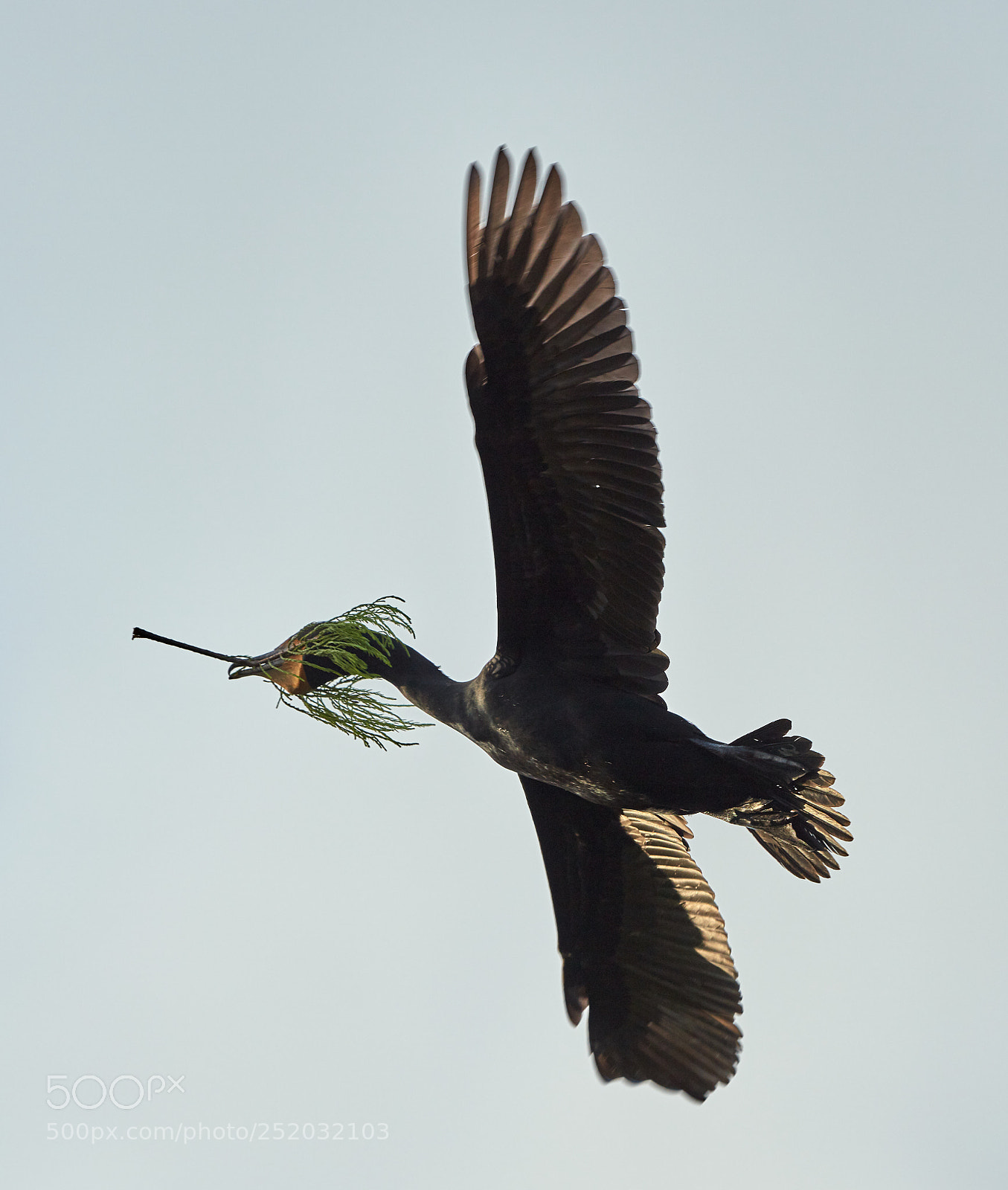 Canon EOS 5DS R sample photo. 04-03-18-0010496.jpg photography