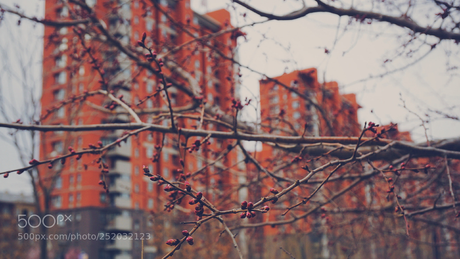 Sony a6000 sample photo. Untitled photography