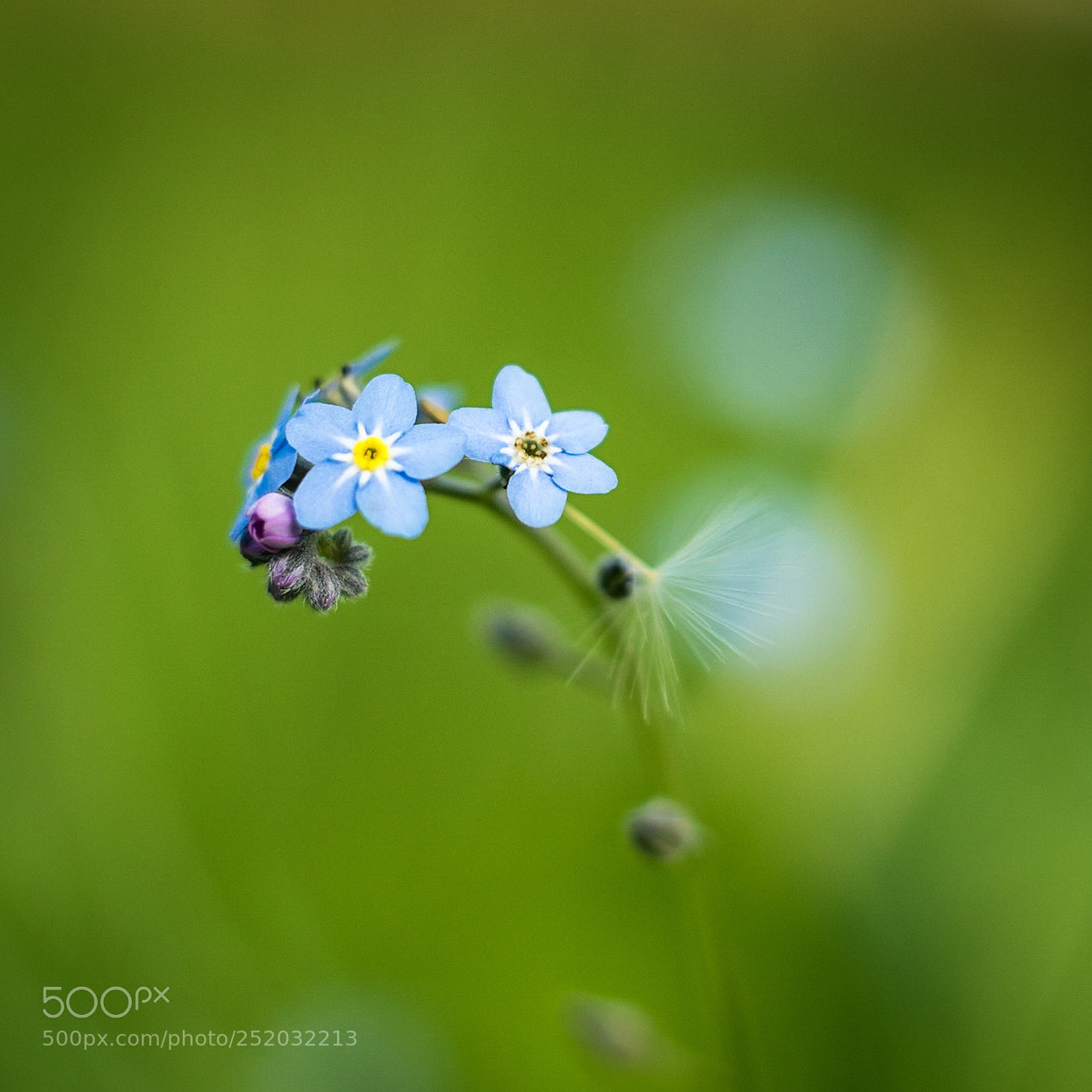 Sony a7R sample photo. Nature  photography