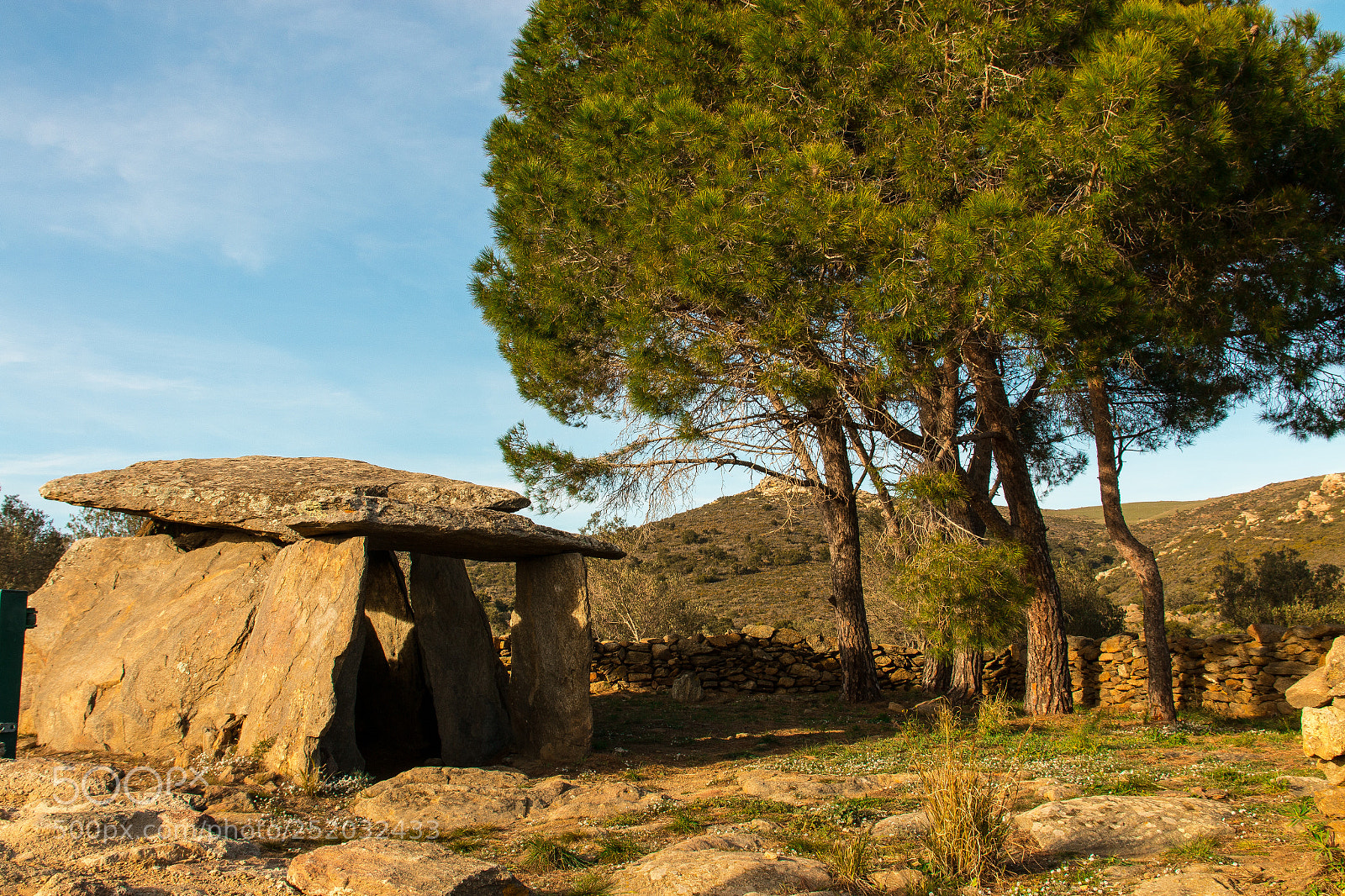 Canon EOS 70D sample photo. Gran dolmen. roses photography