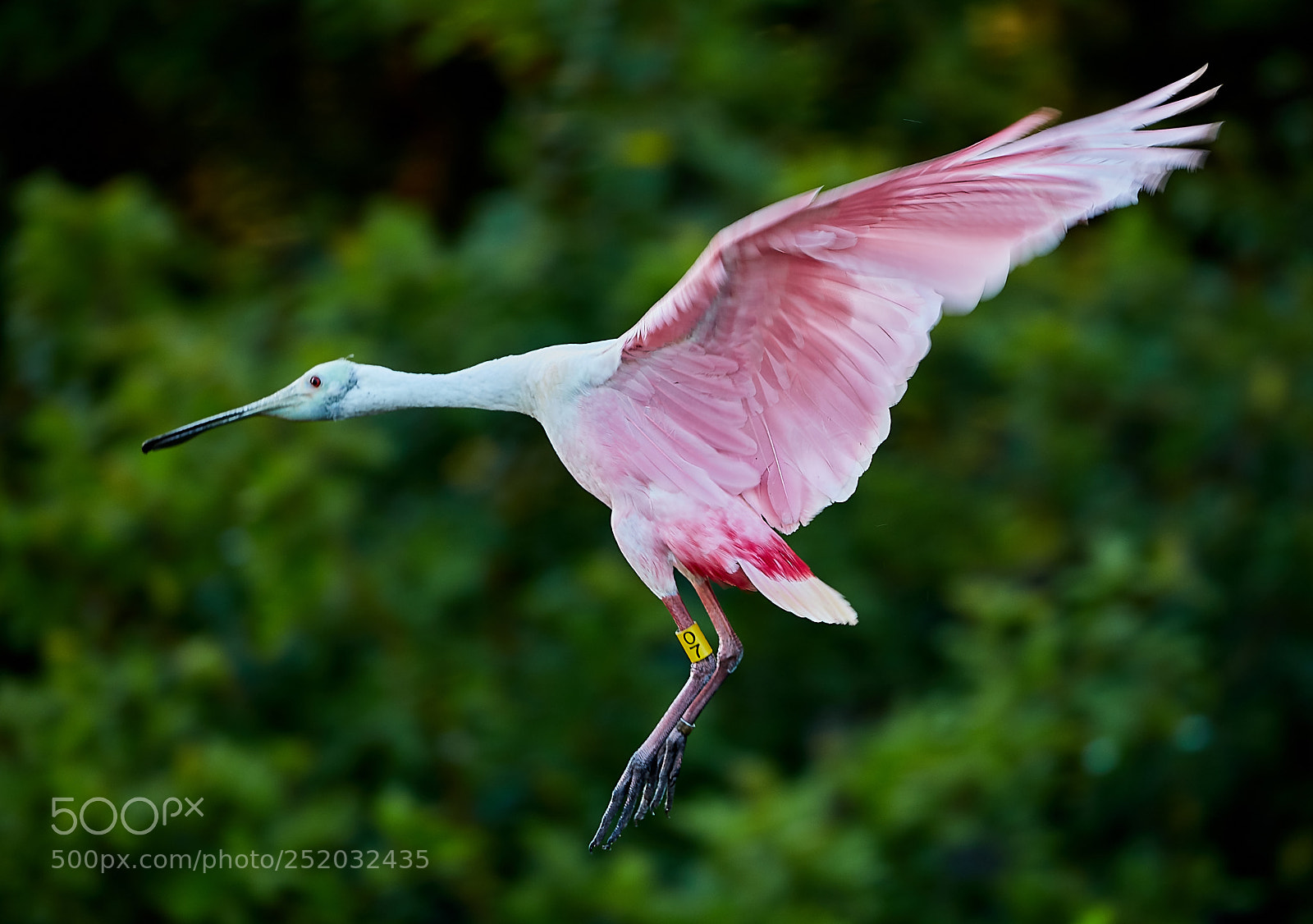 Canon EOS 5DS R sample photo. 04-03-18-0010532.jpg photography