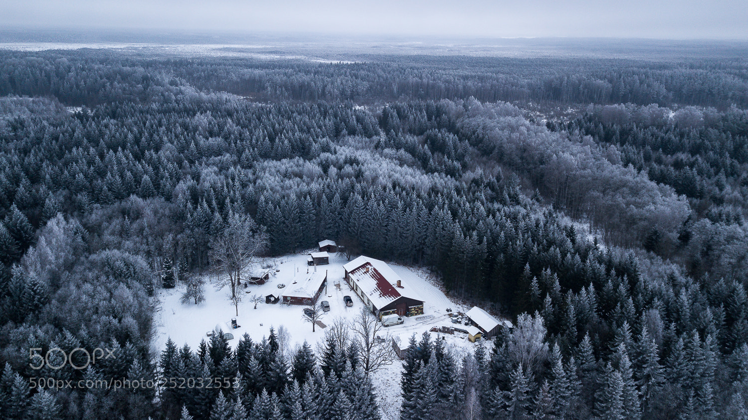 DJI FC220 sample photo. Snowfall photography
