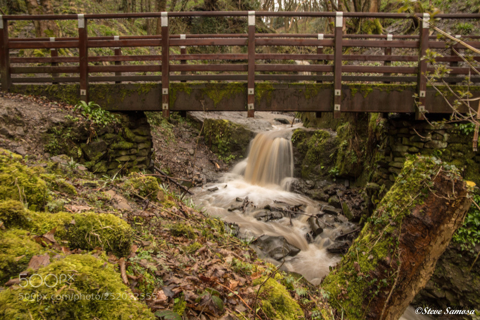 Canon EOS 6D Mark II sample photo. Fairy glen  photography