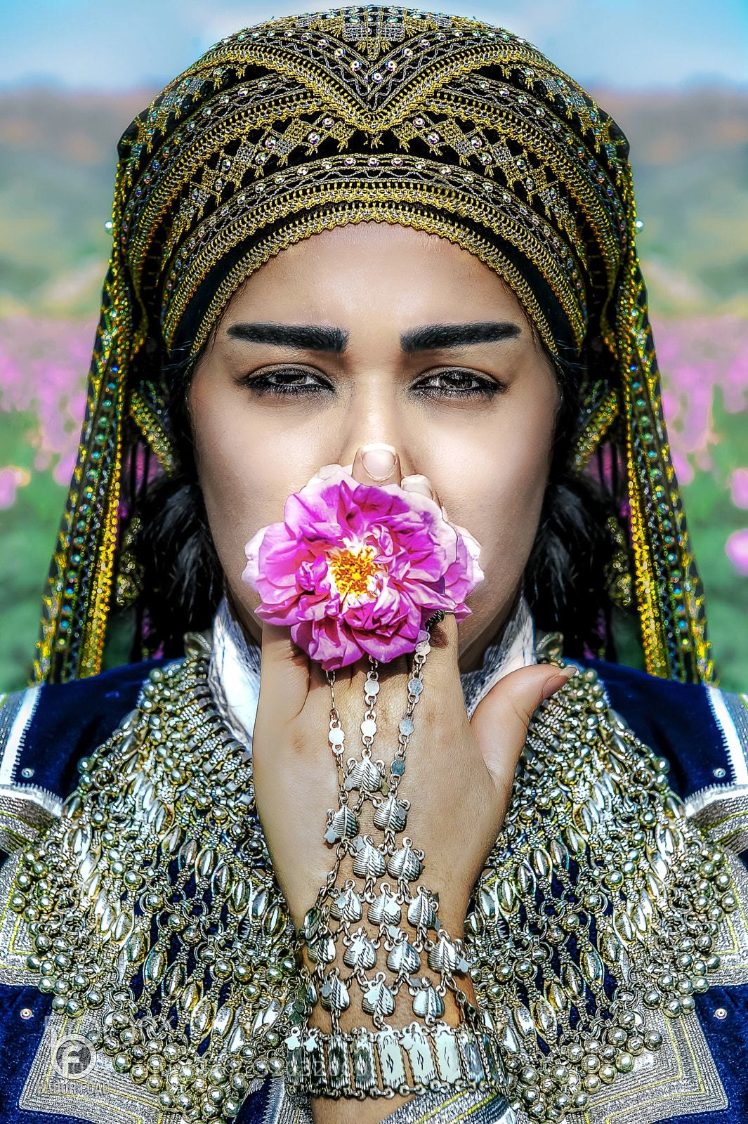 Nikon D4 sample photo. Princess of roses photography