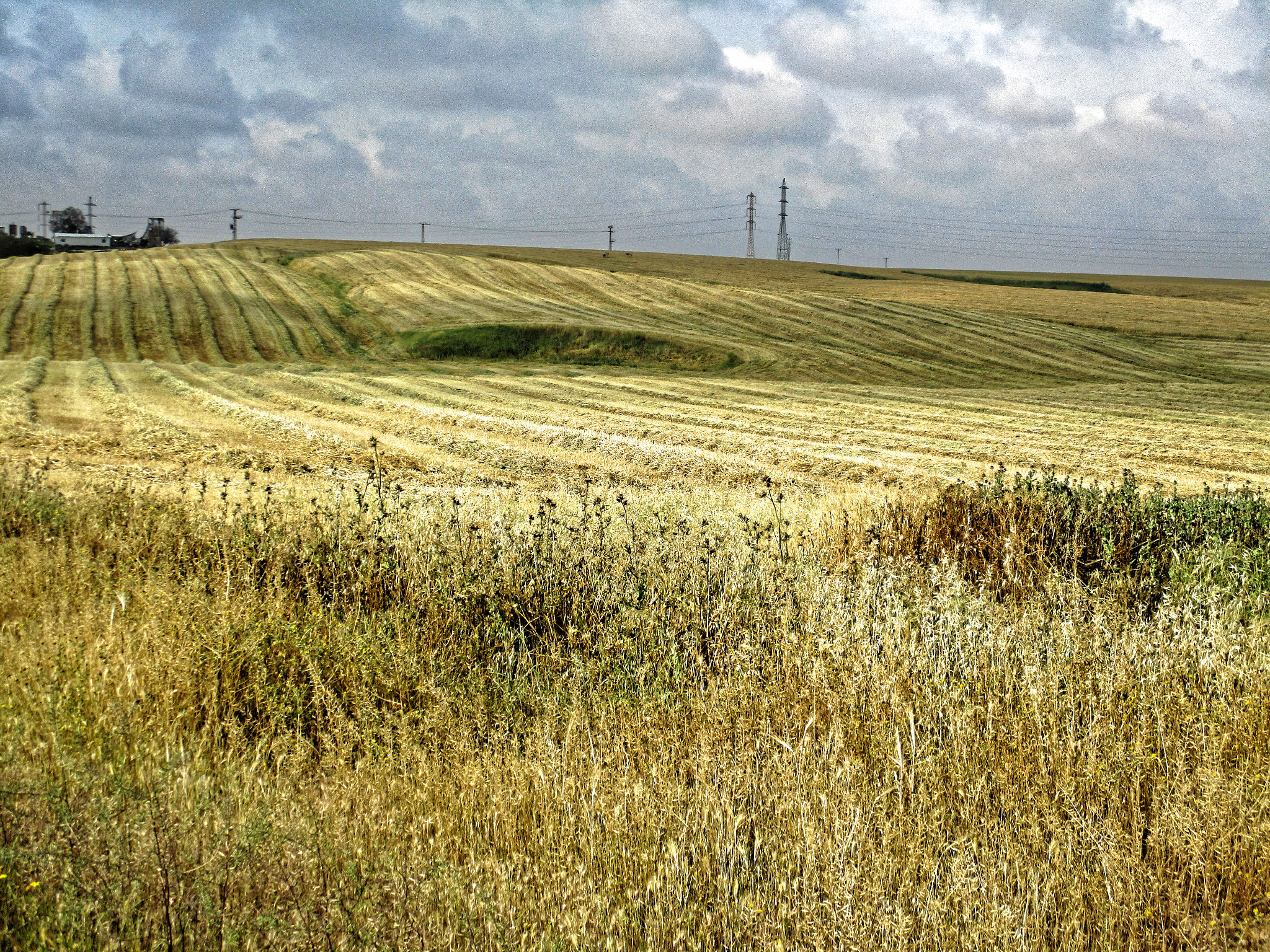Canon IXUS 185 sample photo. Golden fields photography