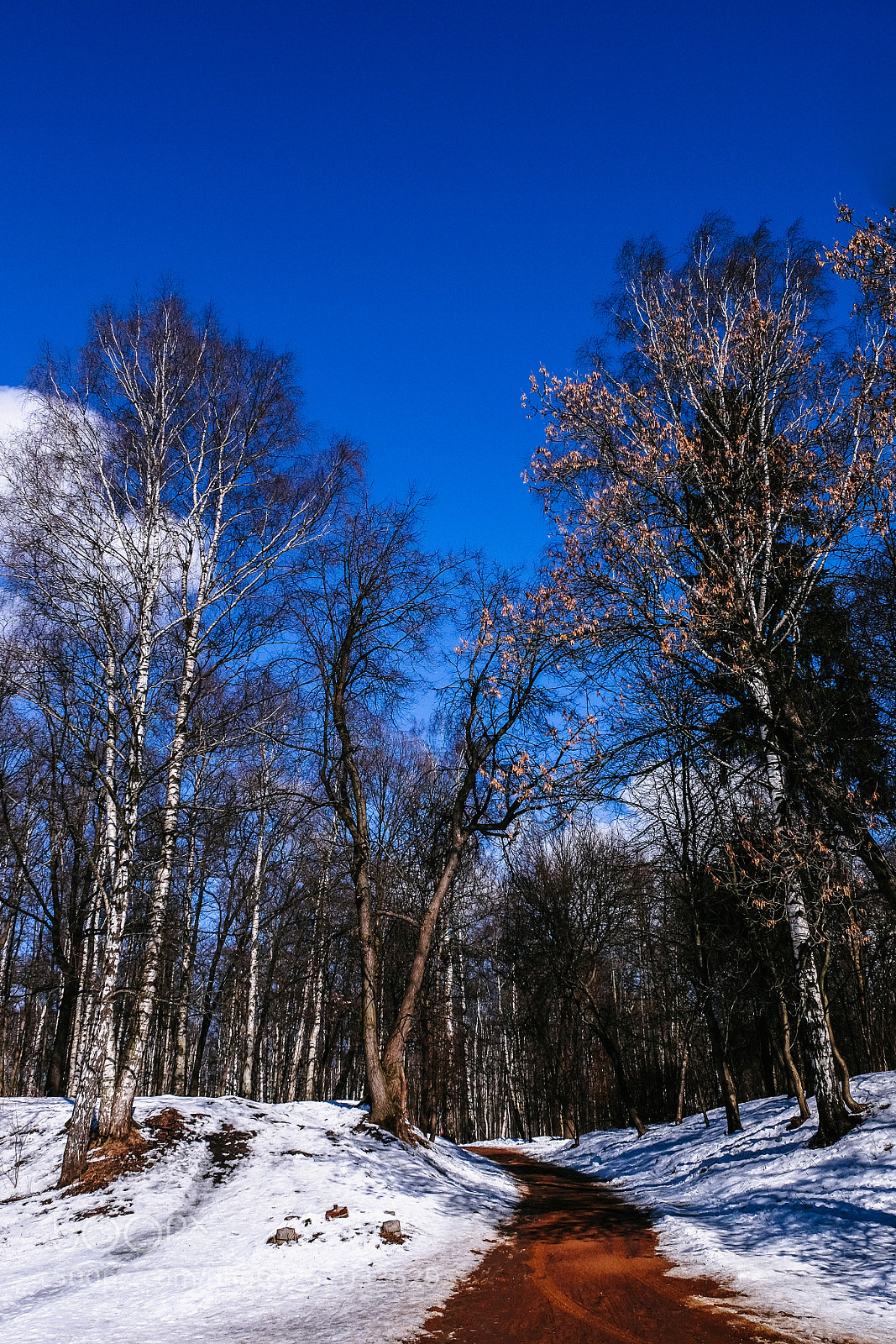 Fujifilm X-T1 sample photo. Spring photography