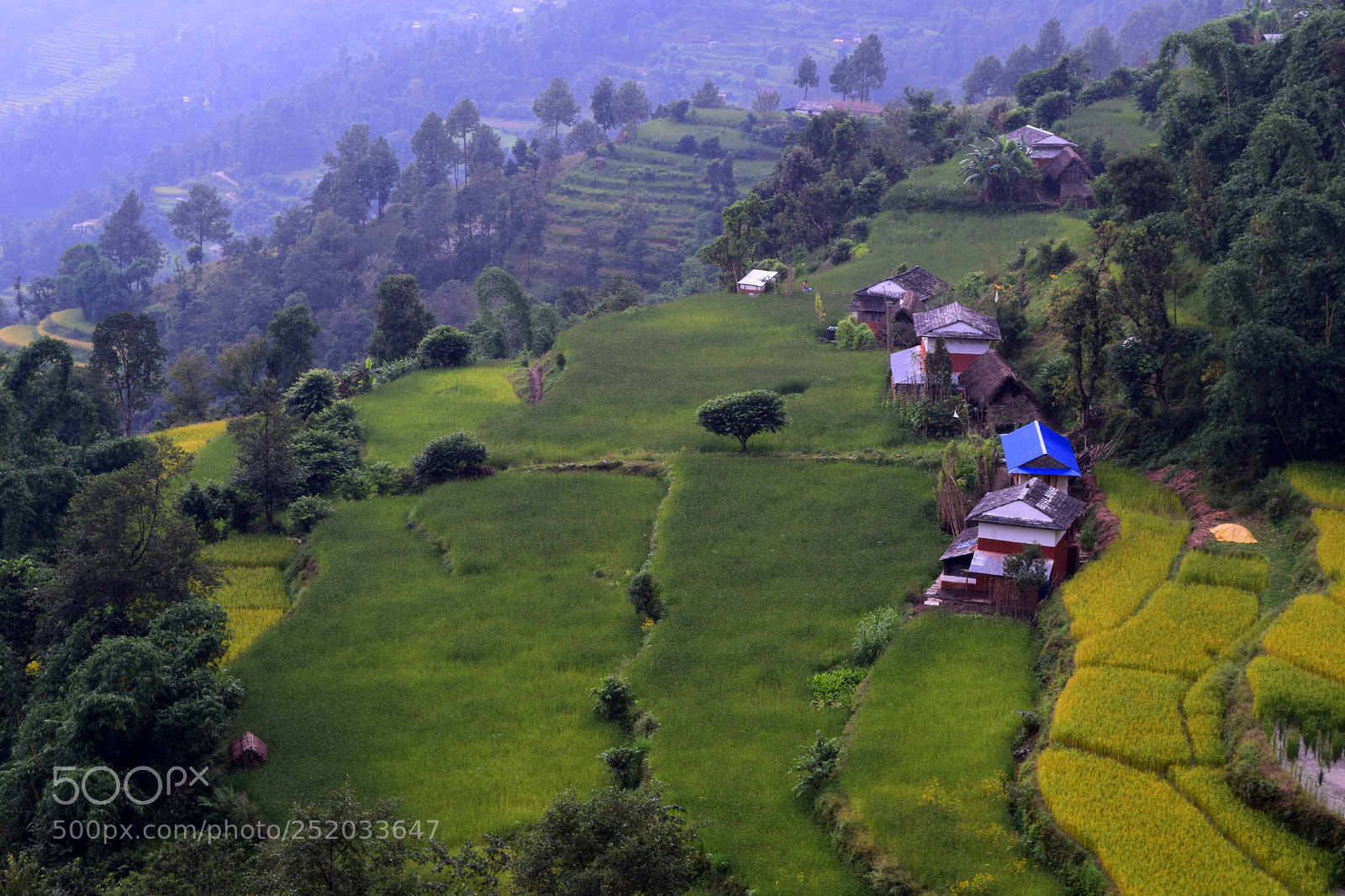 Nikon D3300 sample photo. Nepali village photography