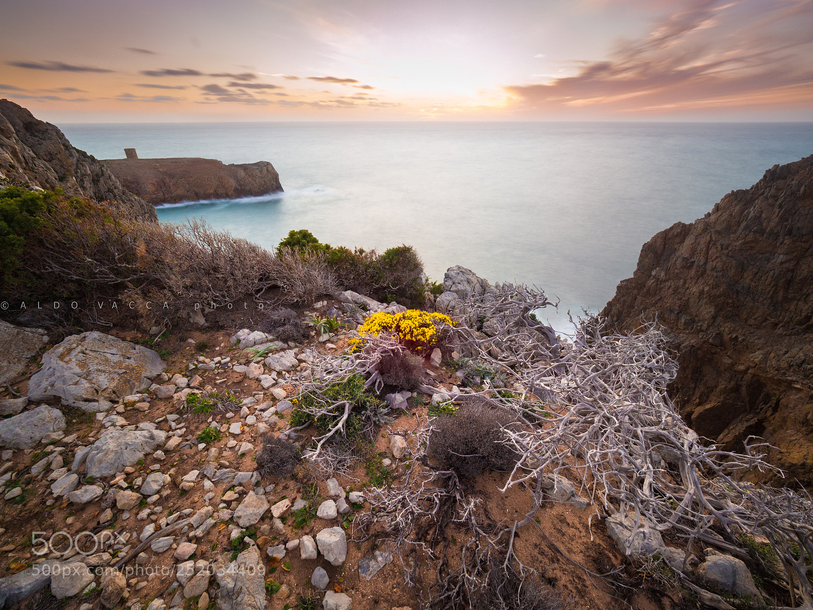 Olympus OM-D E-M10 II sample photo. A touch of yellow... photography