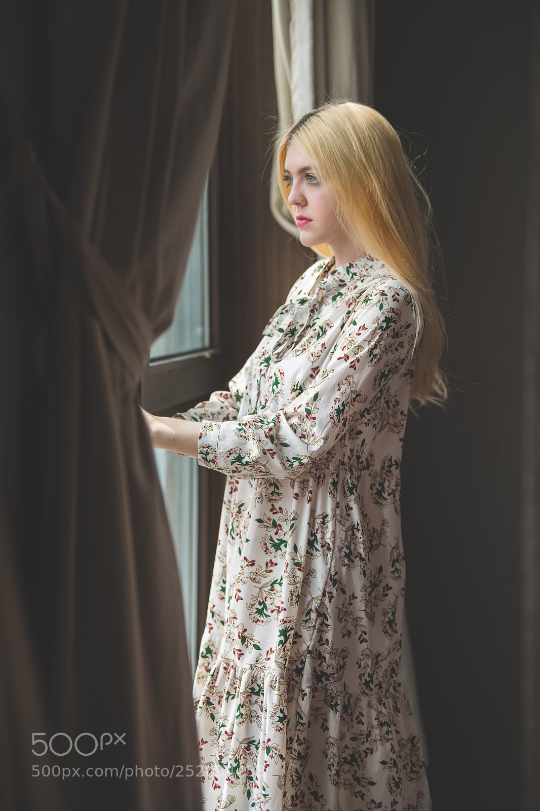 Nikon D850 sample photo. Window photography