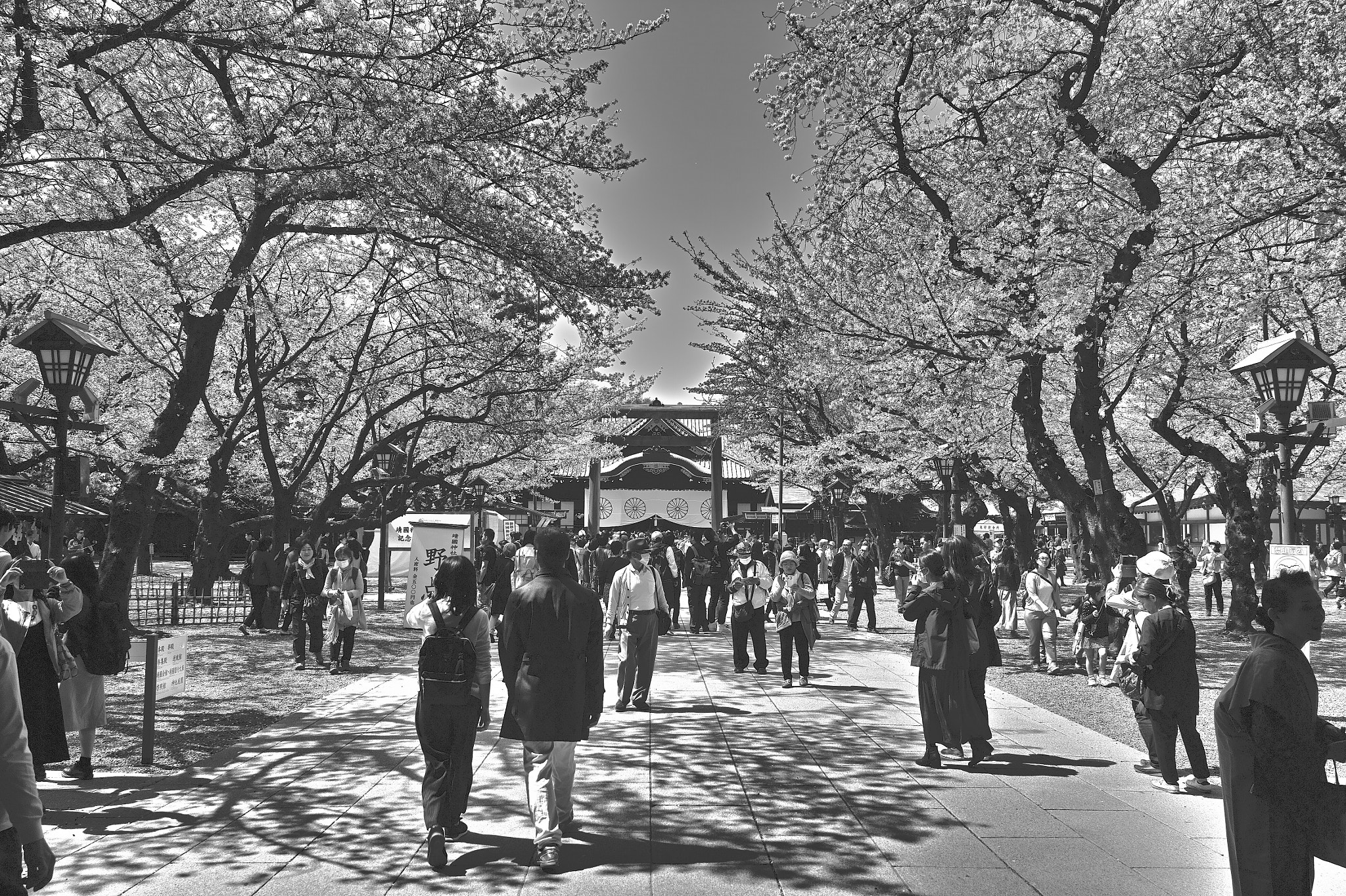 Sigma DP1 Merrill sample photo. Realism photography