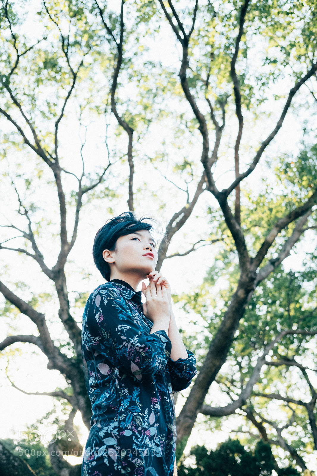 Fujifilm X-T2 sample photo. Blessed photography