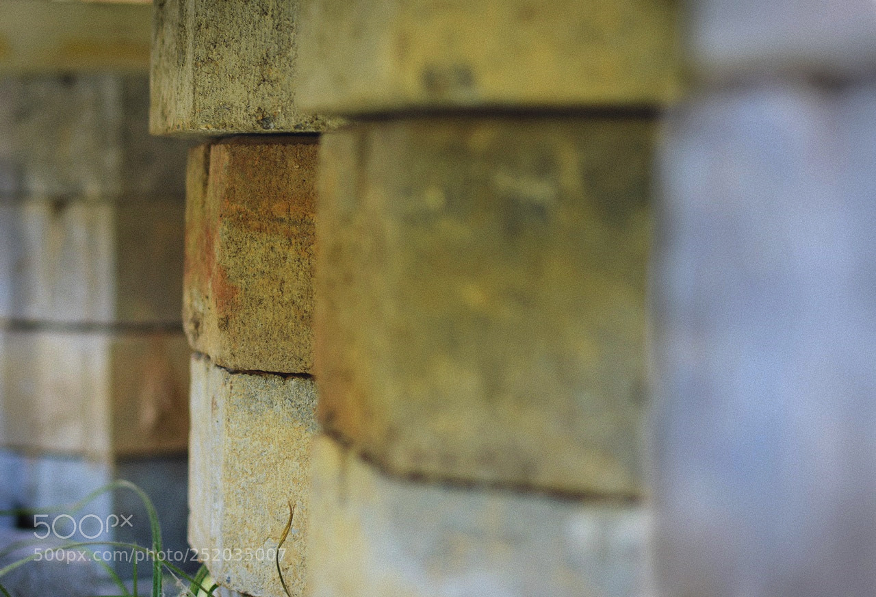Nikon D3200 + Nikon AF-S DX Nikkor 35mm F1.8G sample photo. *** photography