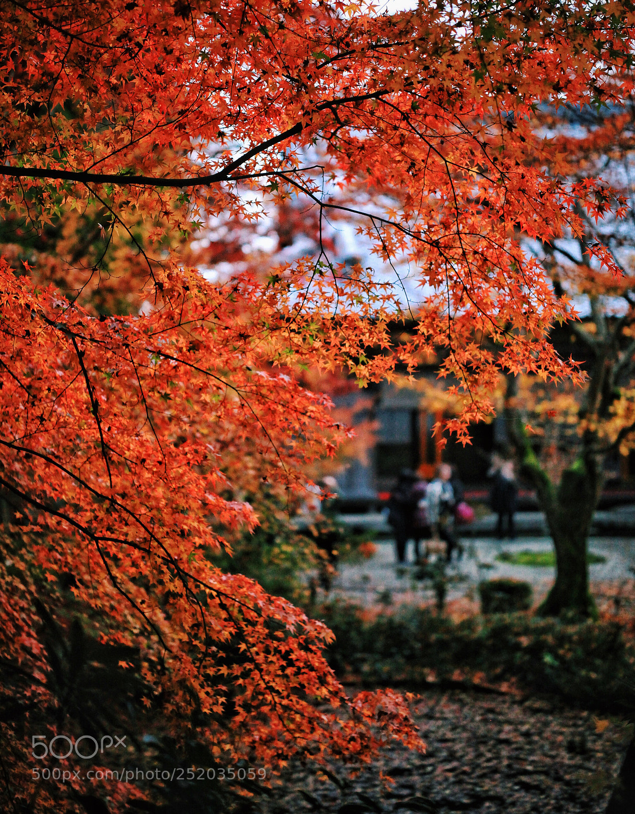 Canon EOS 5D Mark II sample photo. Untitled photography